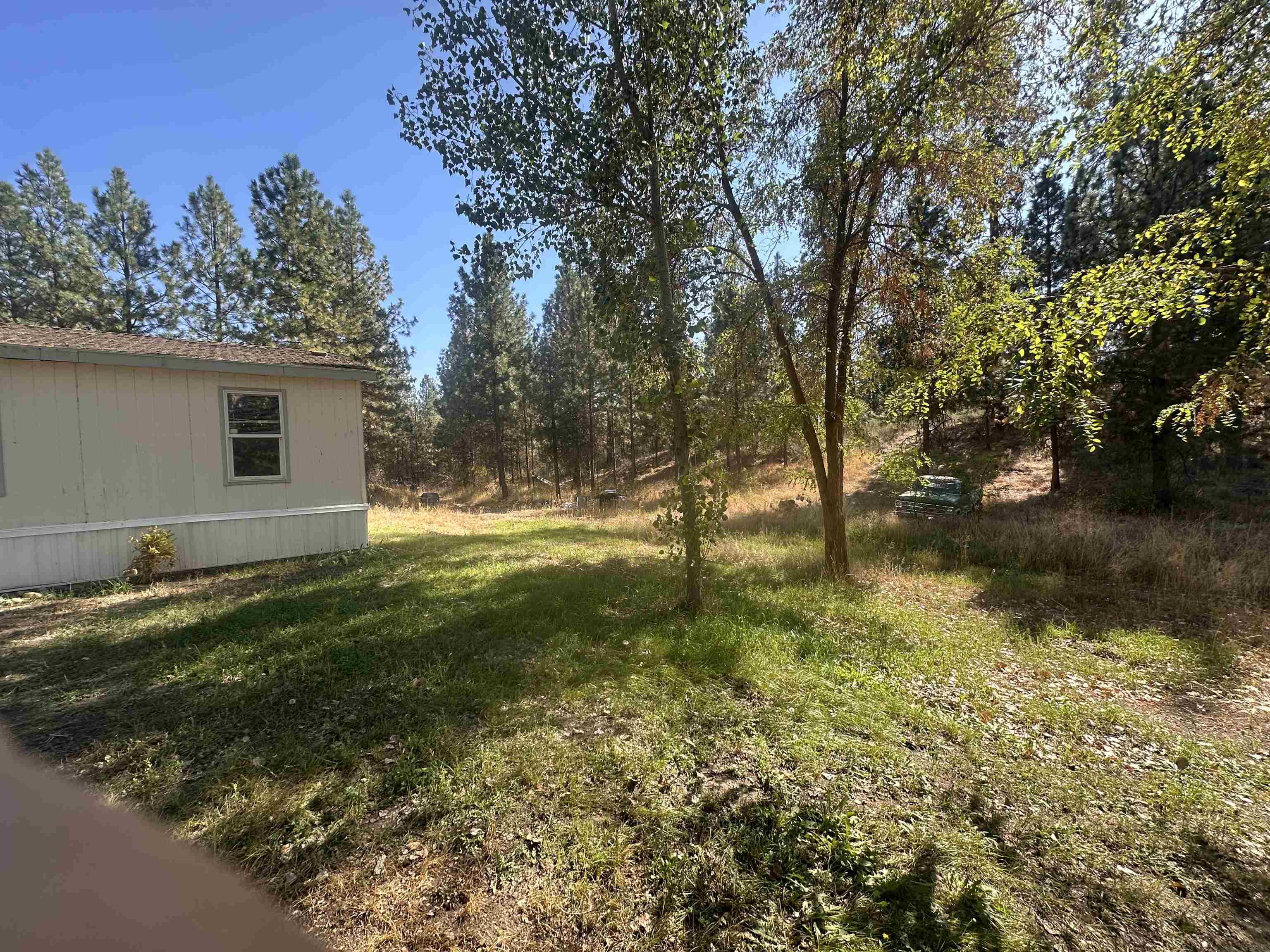 6442 Pascal Loop Rd - Photo 8