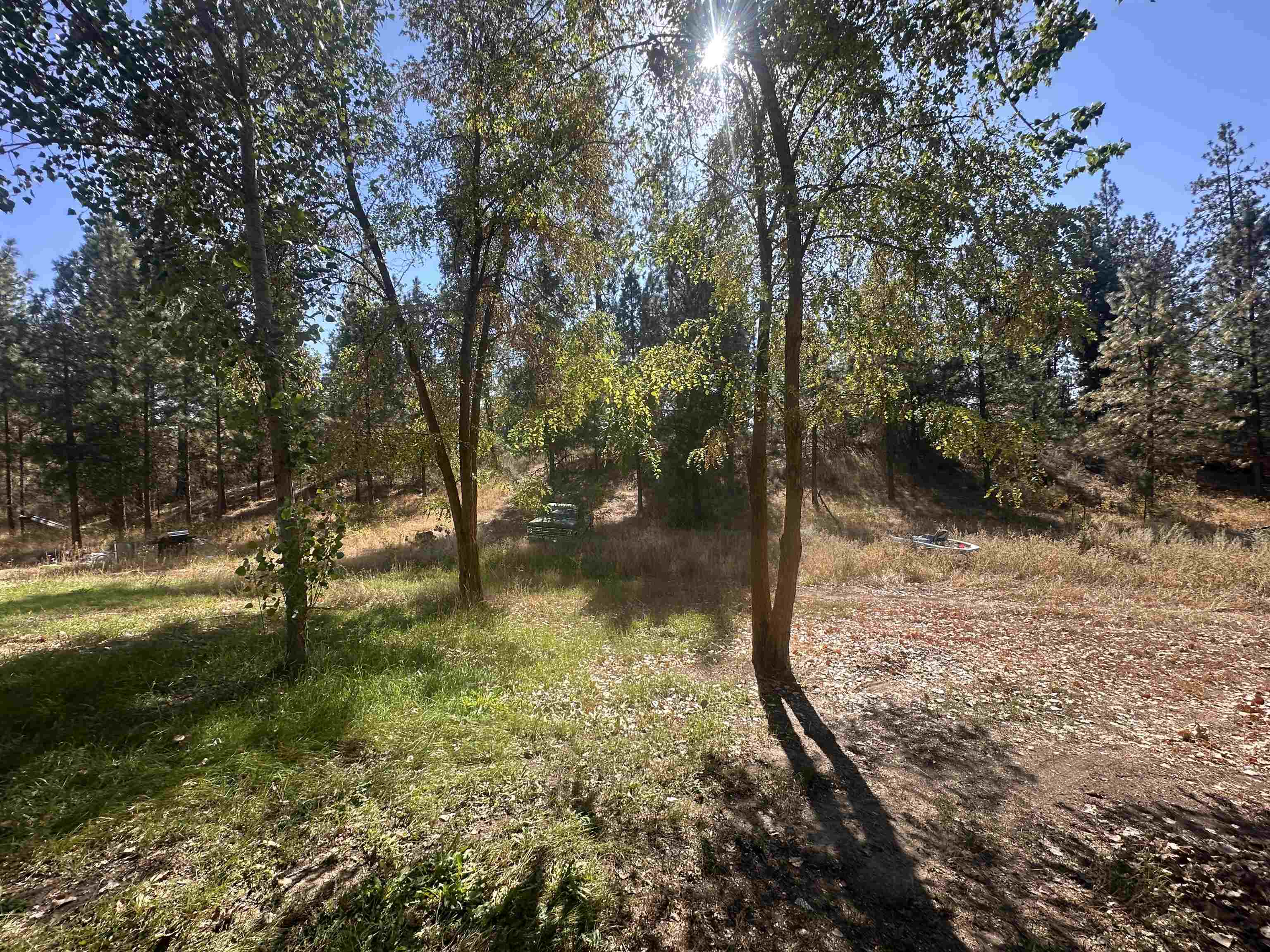 6442 Pascal Loop Rd - Photo 9