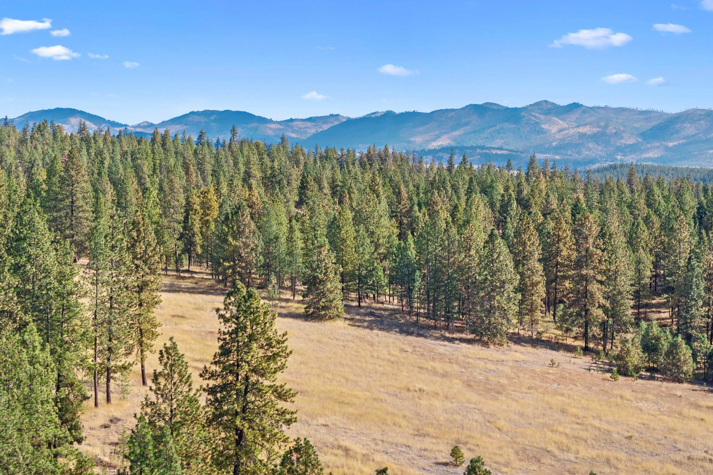 6271 N Miller Mnt Rd - Photo 42