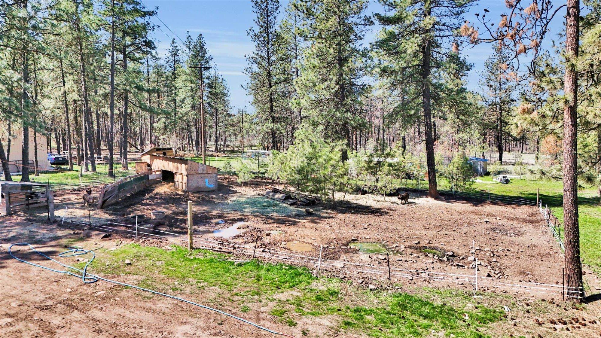 17210 S BLUEBIRD Rd - Photo 44