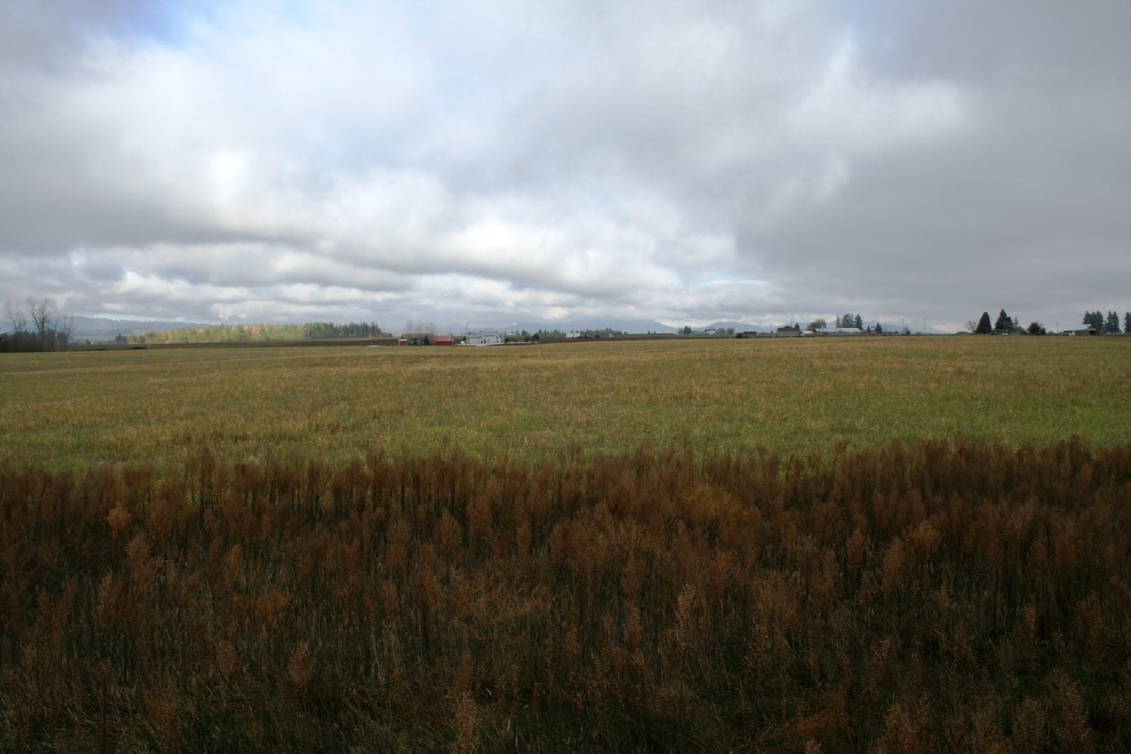 Lot 3 Mule Deer Ln - Photo 1