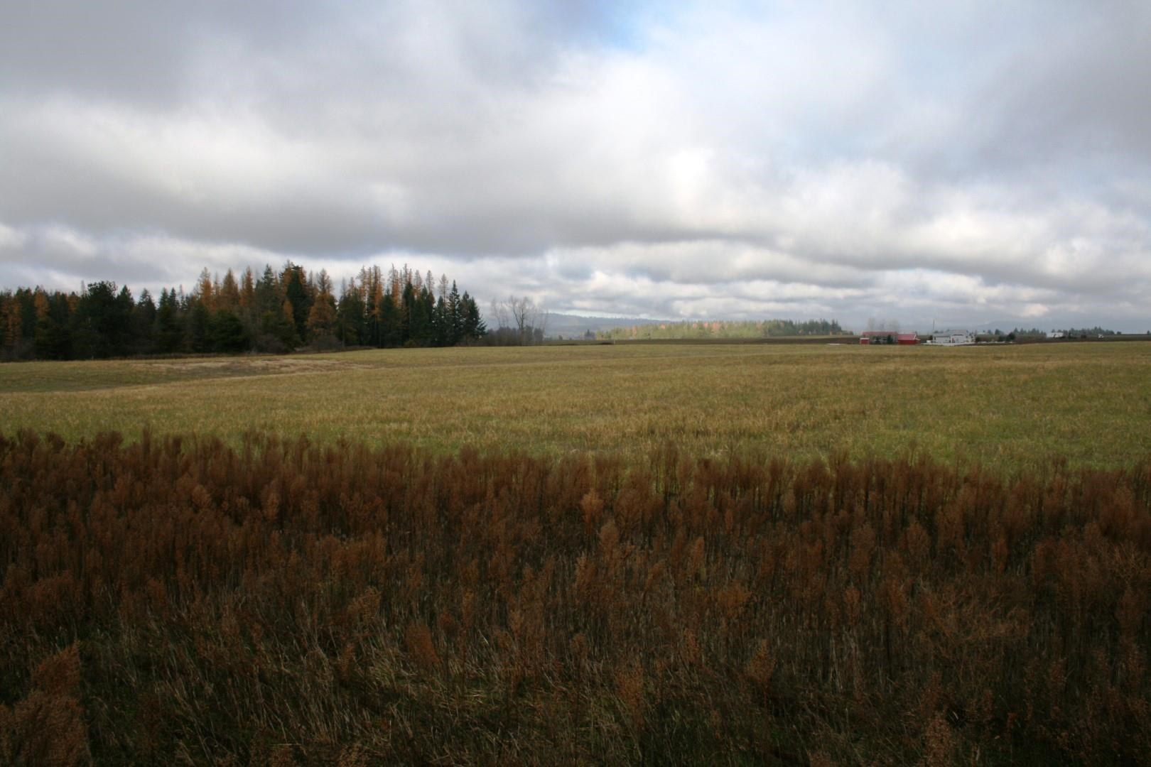 Lot 3 Mule Deer Ln - Photo 2