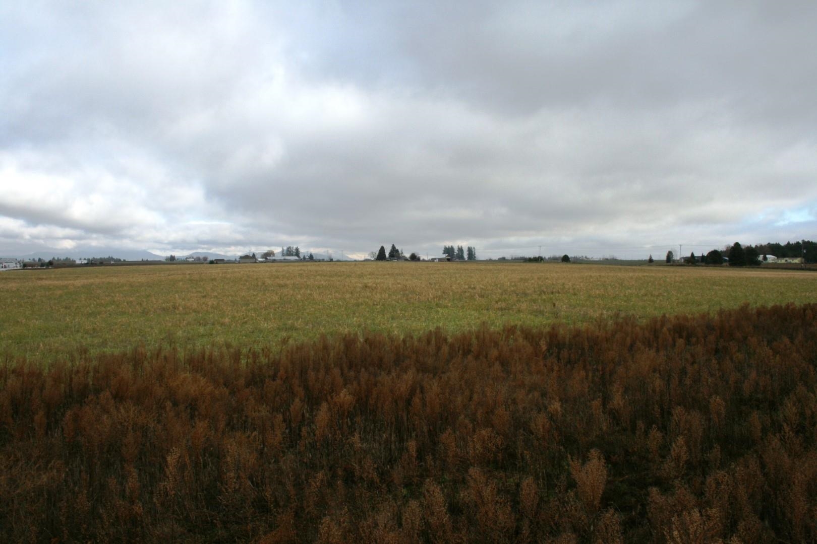 Lot 3 Mule Deer Ln - Photo 3