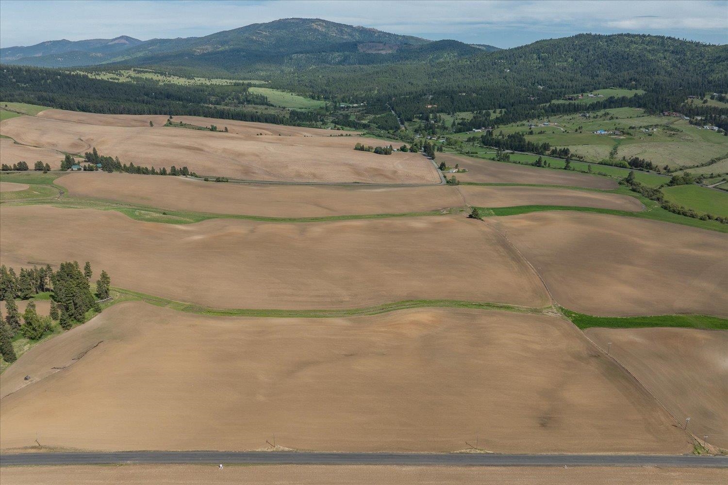 00XXX S Jackson Rd, Lot 15 - Photo 13