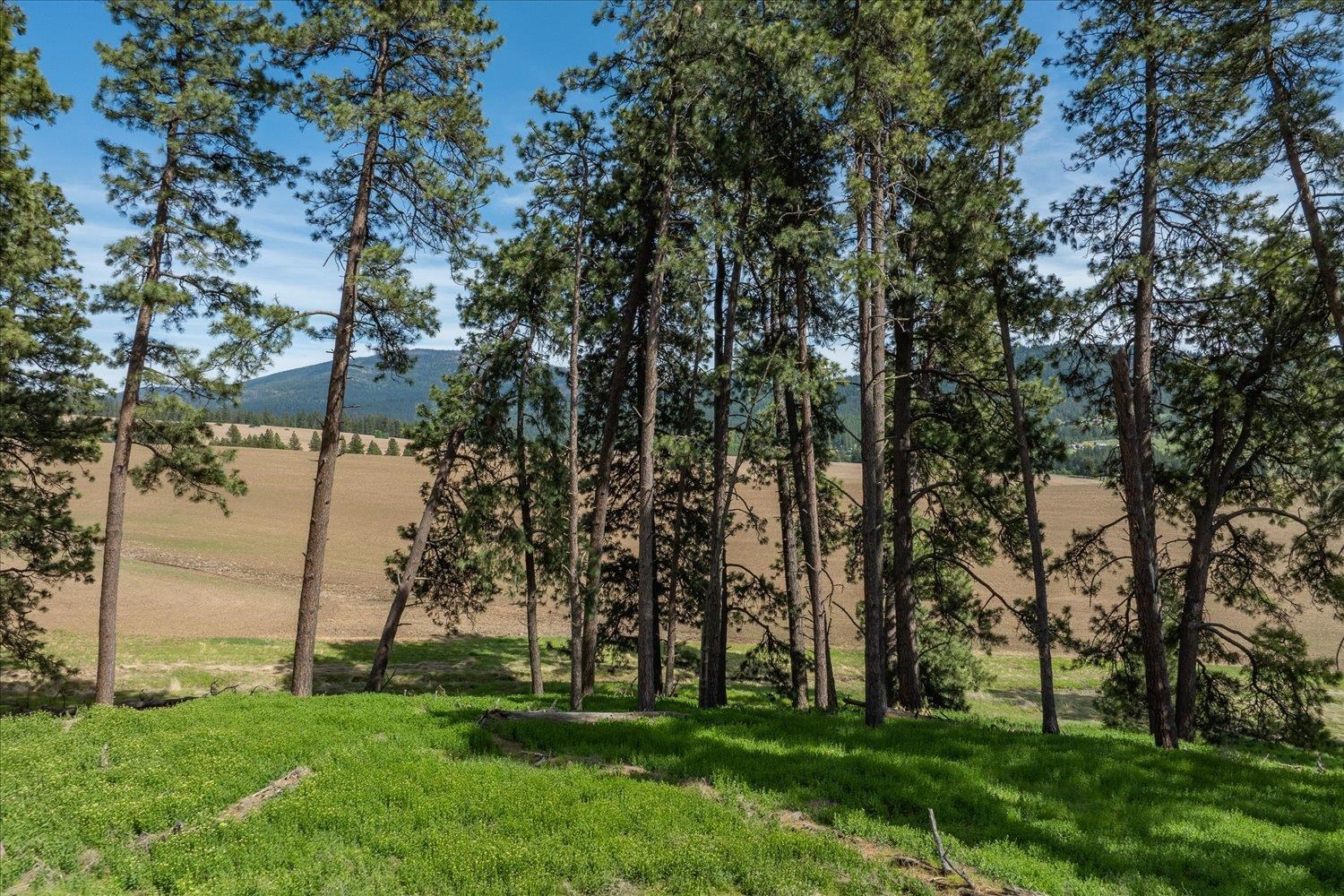 00XXX S Jackson Rd, Lot 15 - Photo 16