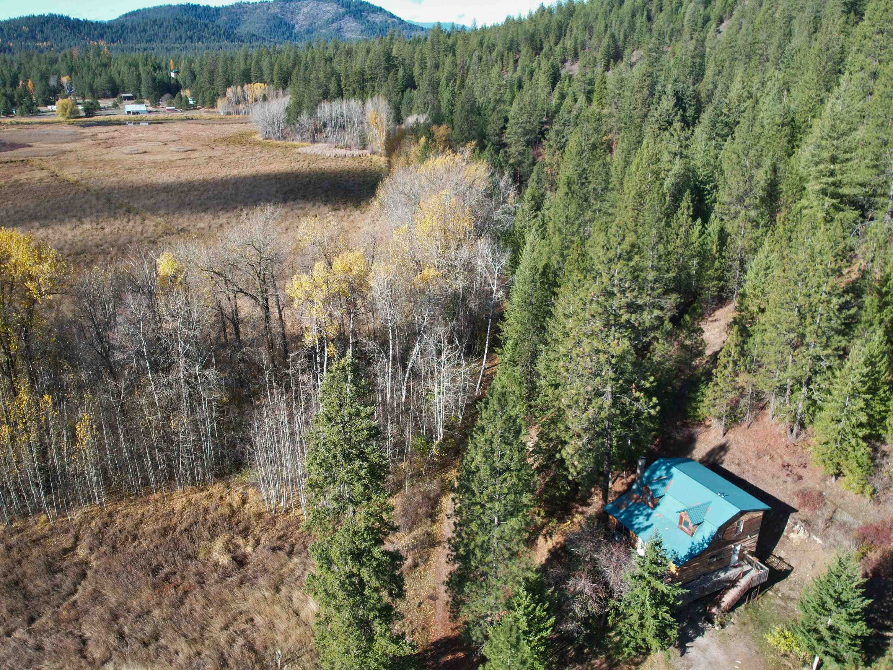 3979 Taylor Ranch Way - Photo 41