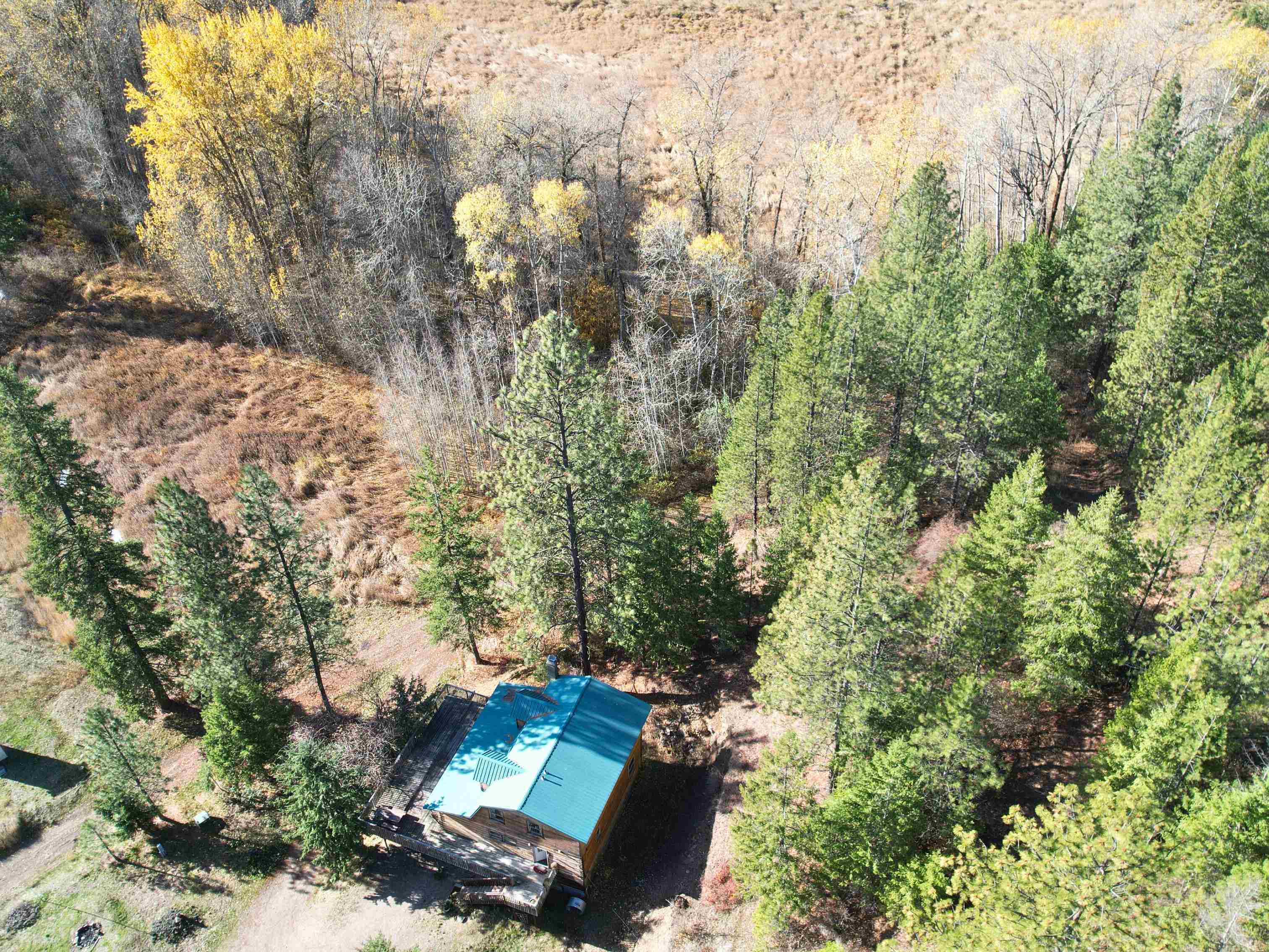 3979 Taylor Ranch Way - Photo 44