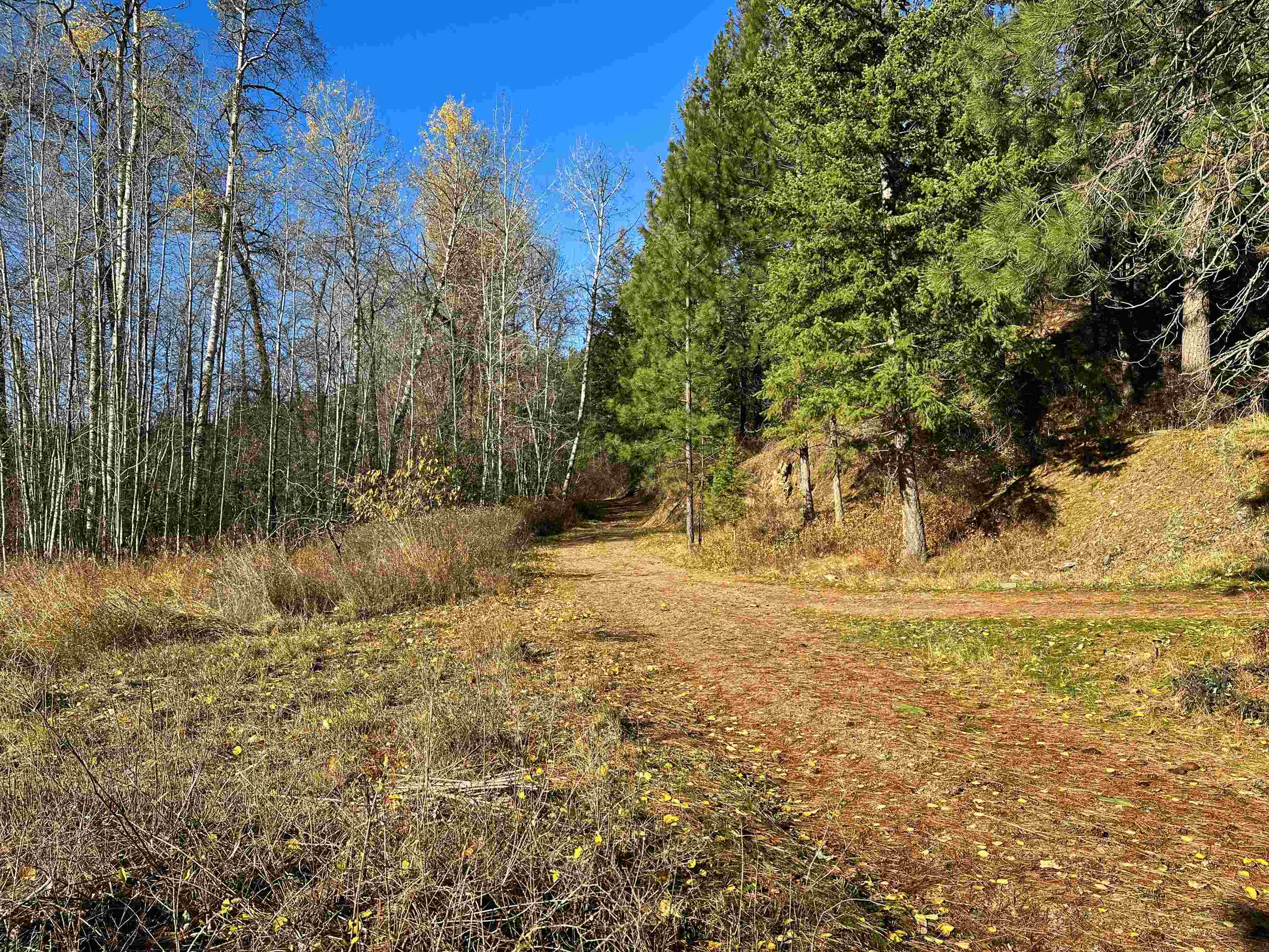 3979 Taylor Ranch Way - Photo 34