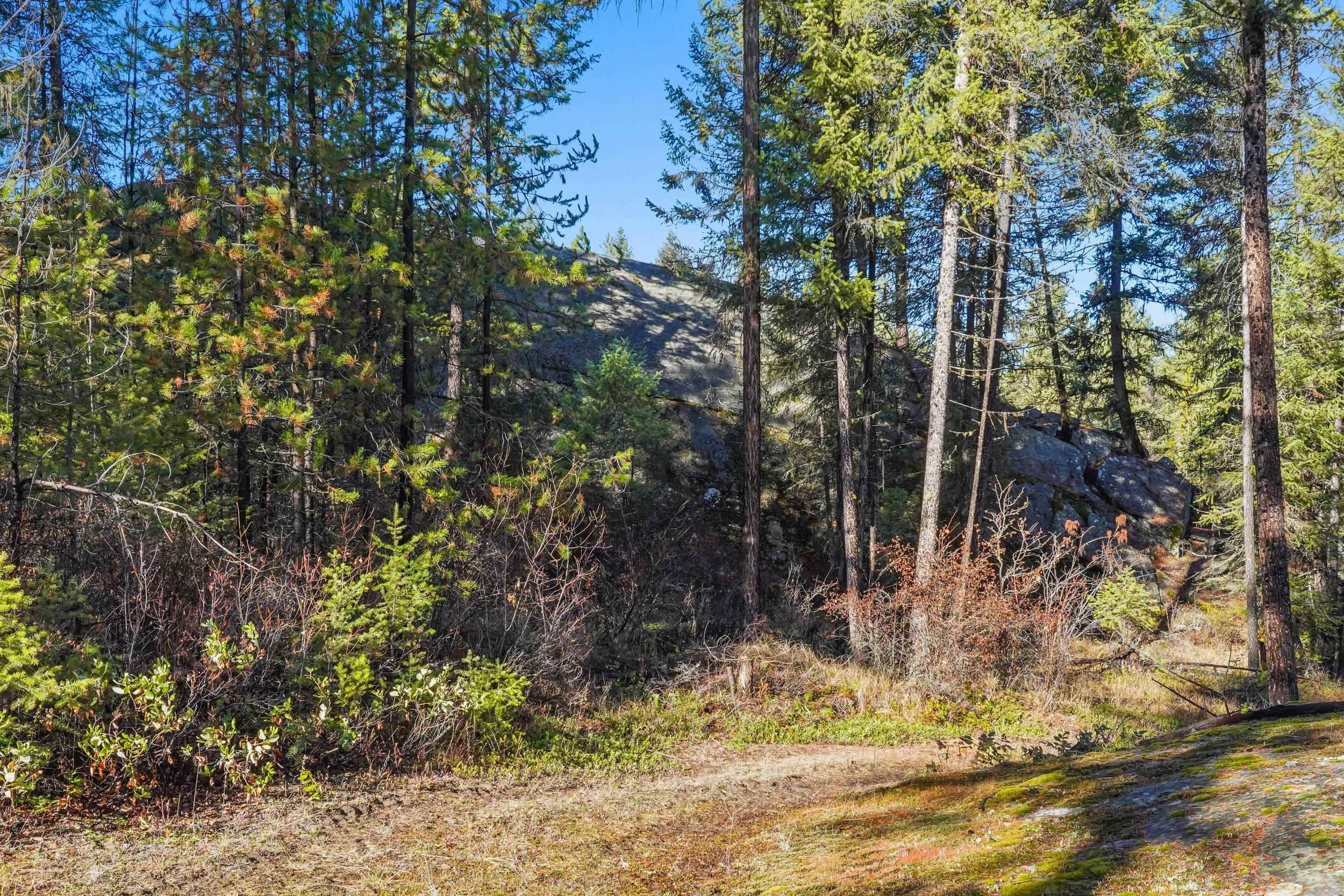 2094 Clugston Onion Creek Rd - Photo 20