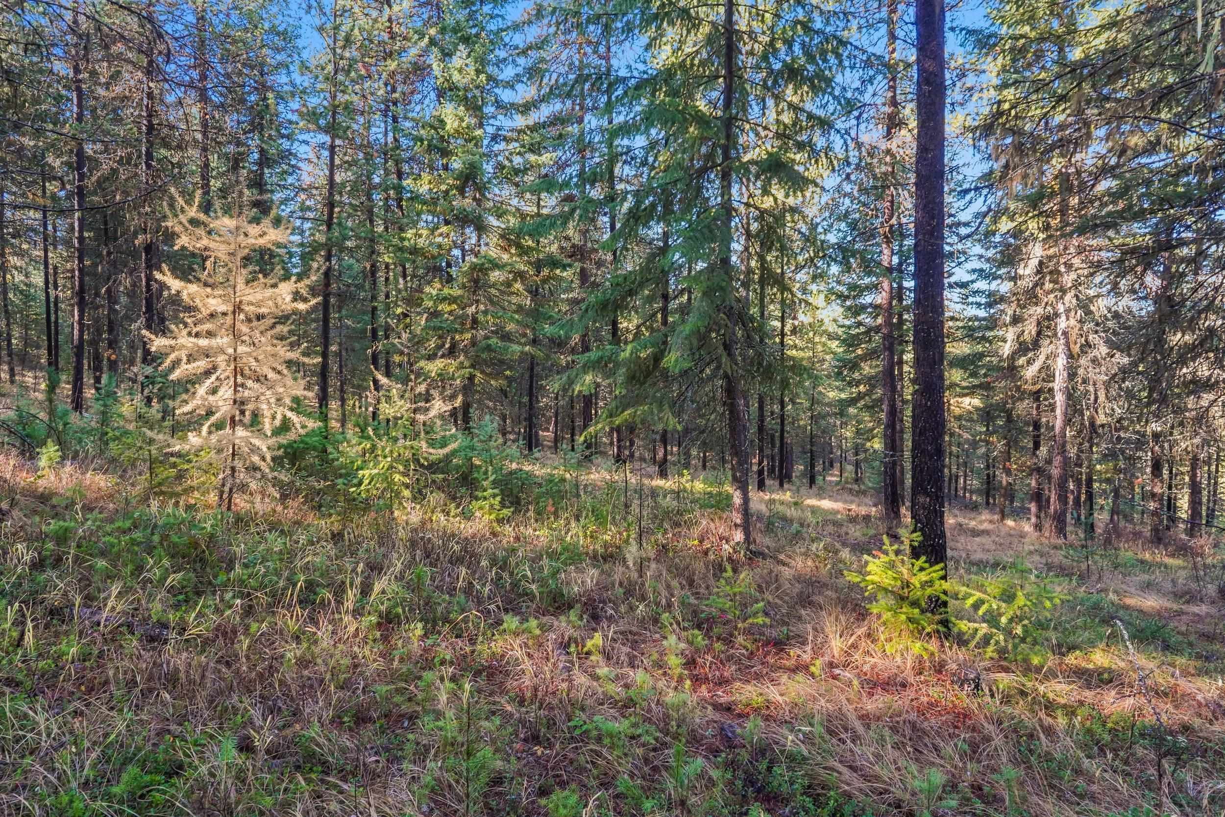 2094 Clugston Onion Creek Rd - Photo 22