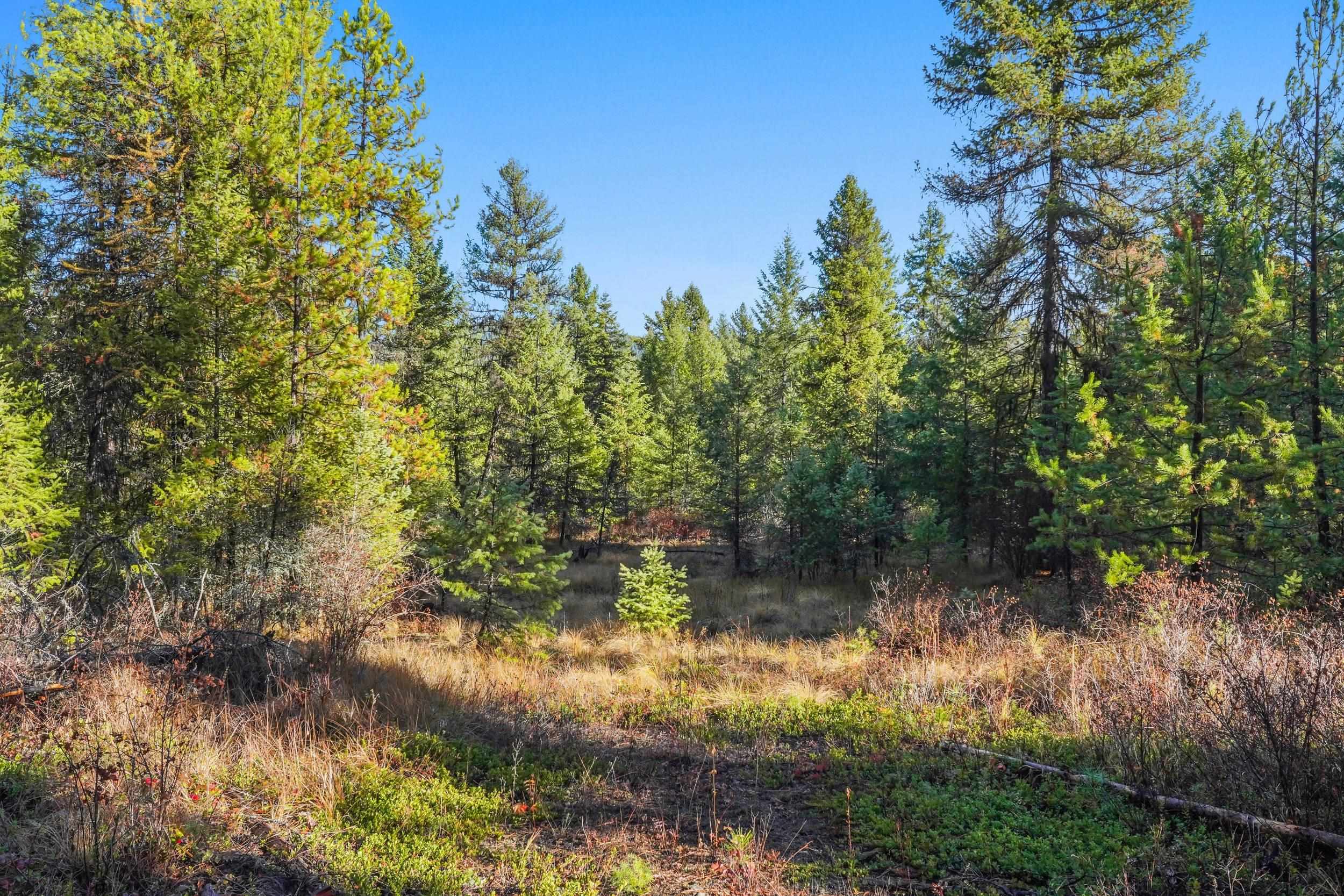 2094 Clugston Onion Creek Rd - Photo 26