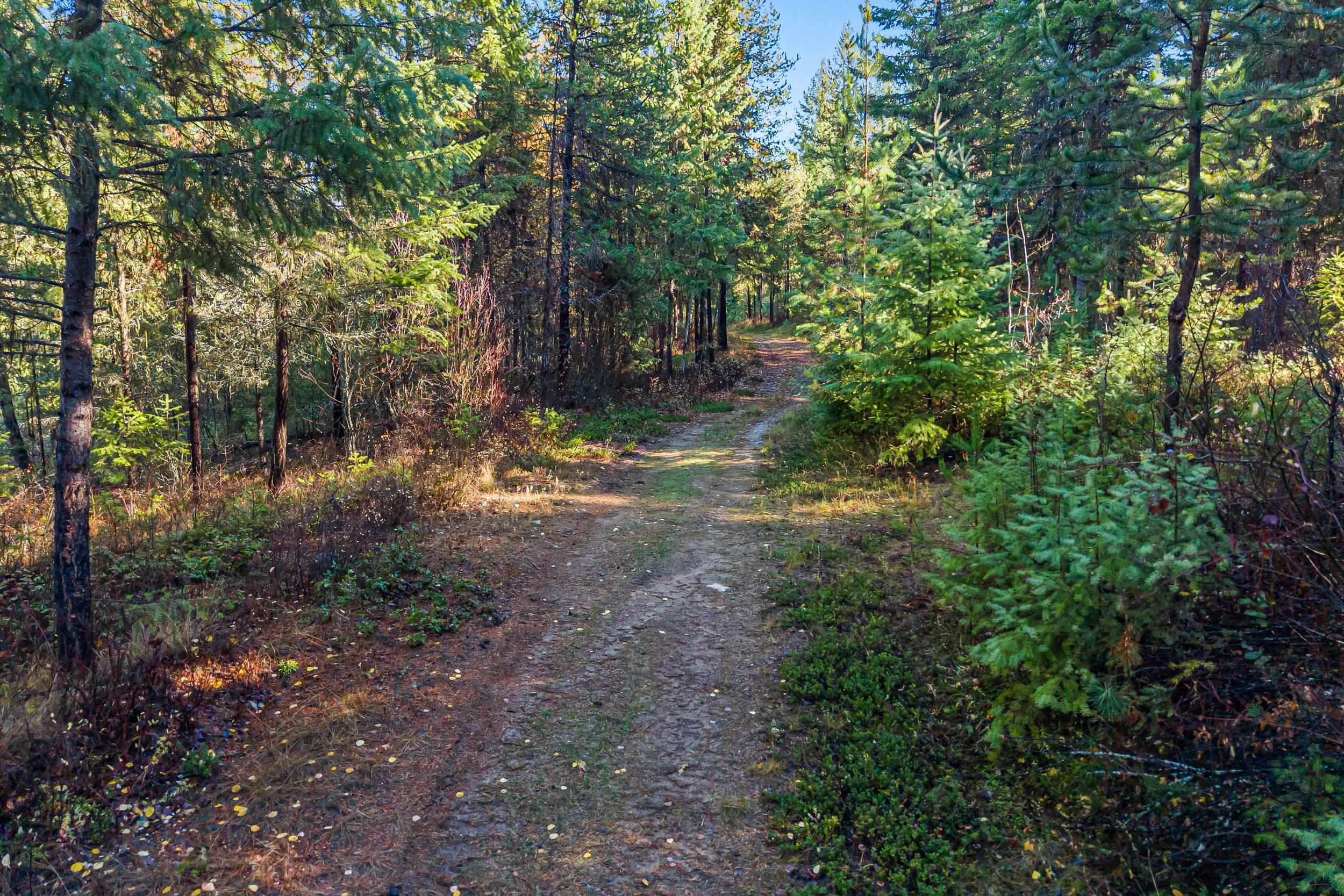 2094 Clugston Onion Creek Rd - Photo 29