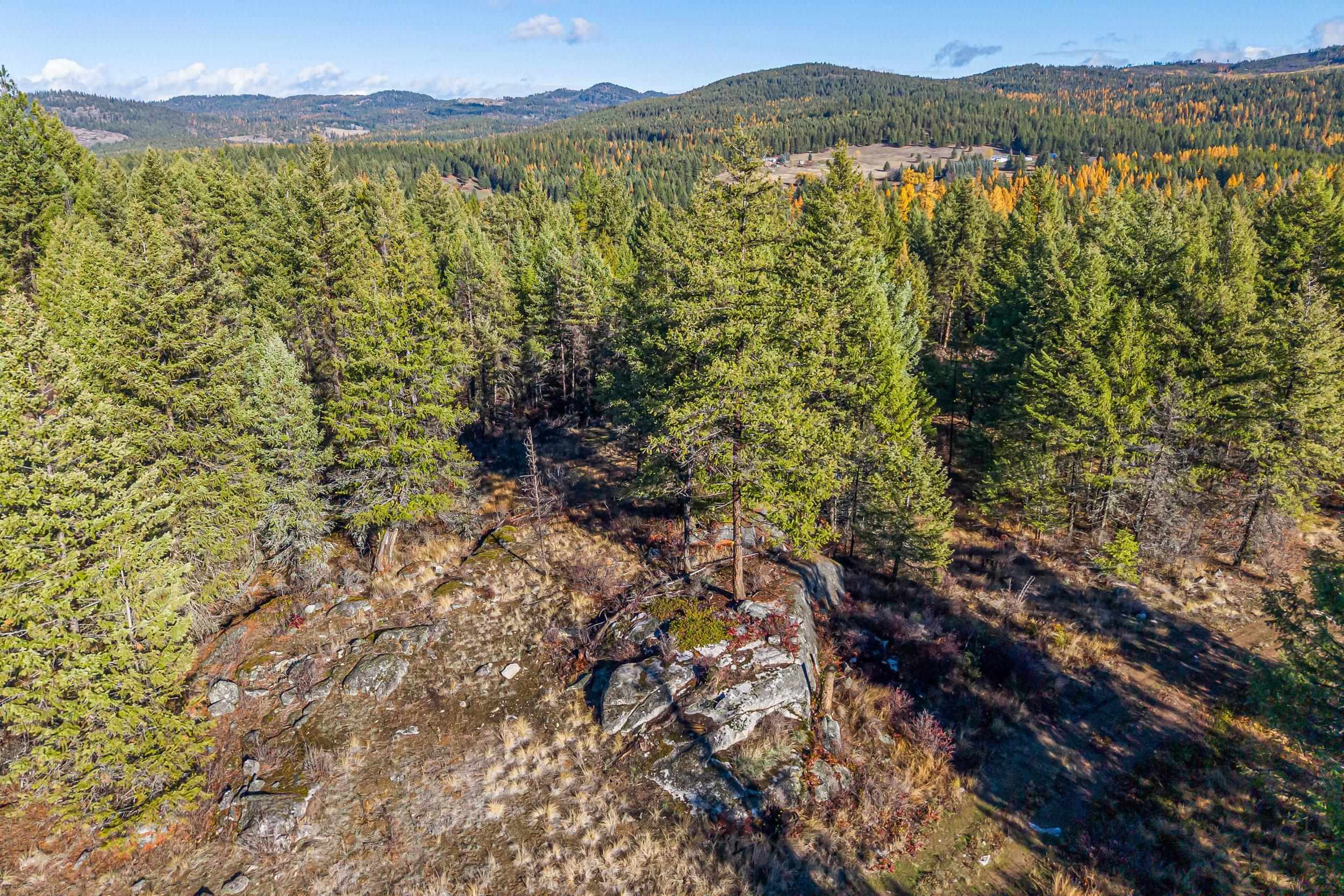 2094 Clugston Onion Creek Rd - Photo 30