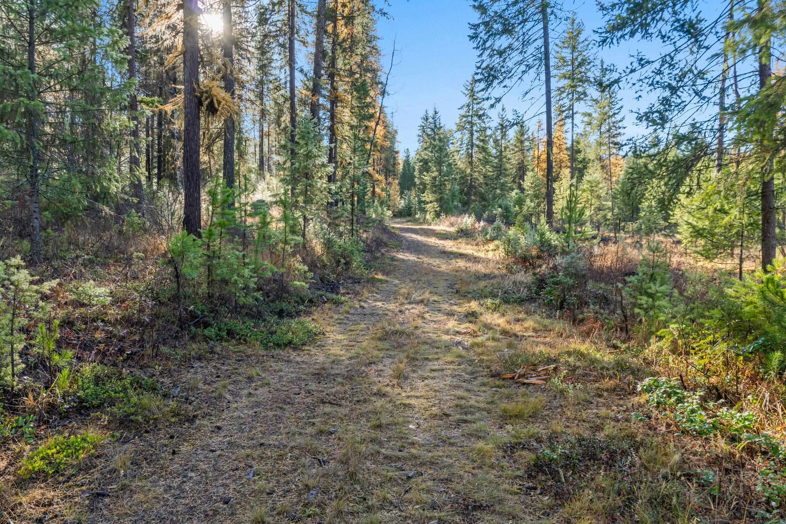 2094 Clugston Onion Creek Rd - Photo 33