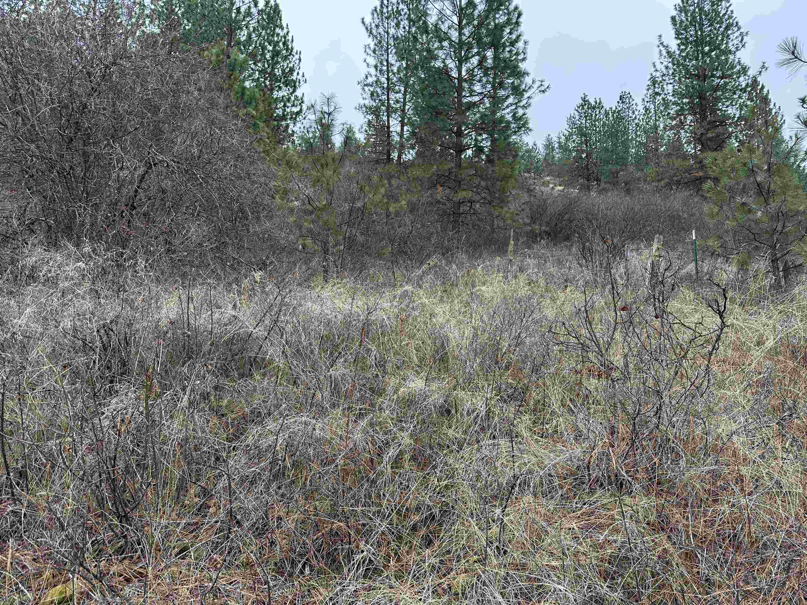 3250 Daisy Mine Rd - Photo 2