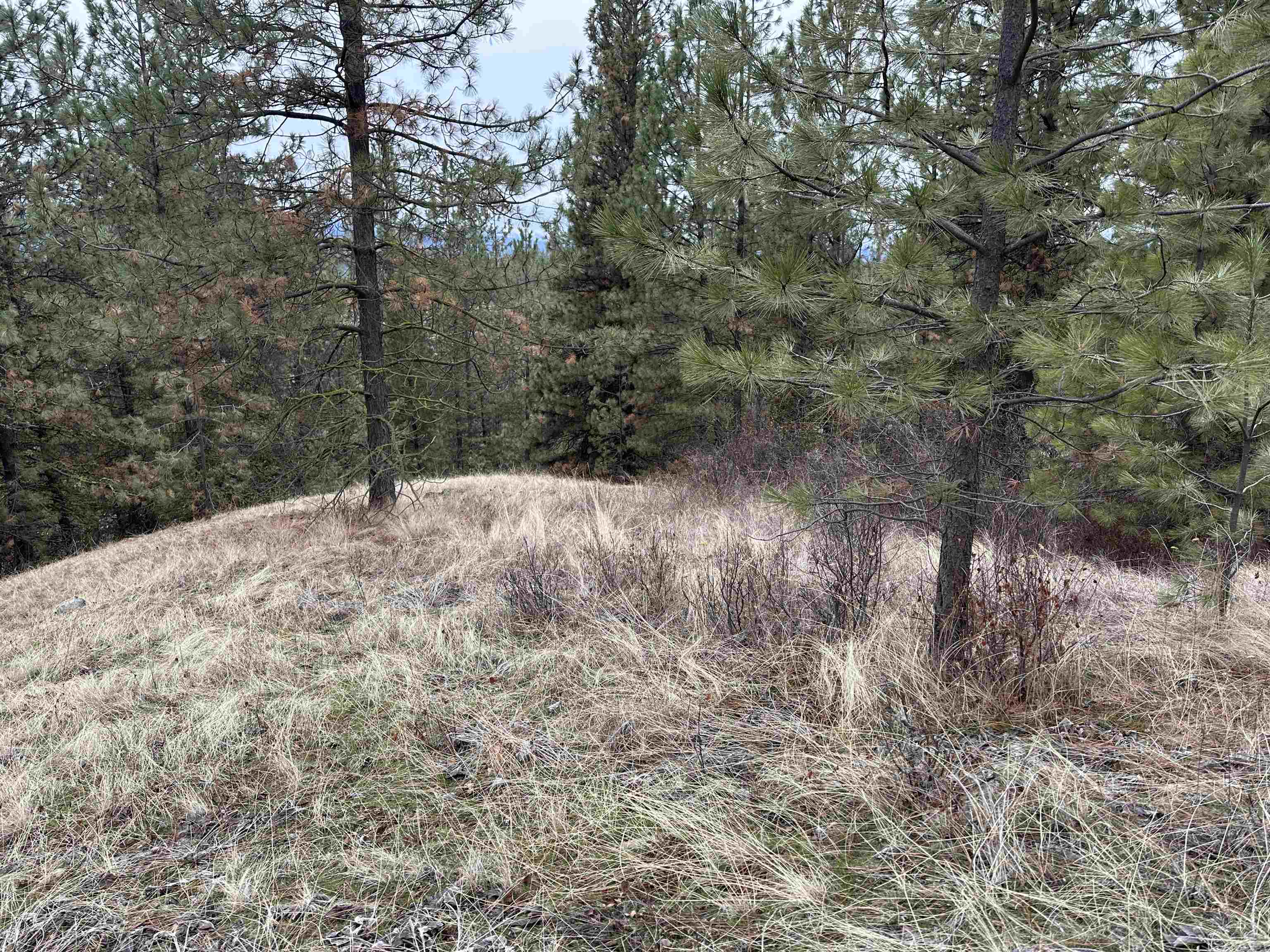 3250 Daisy Mine Rd - Photo 4