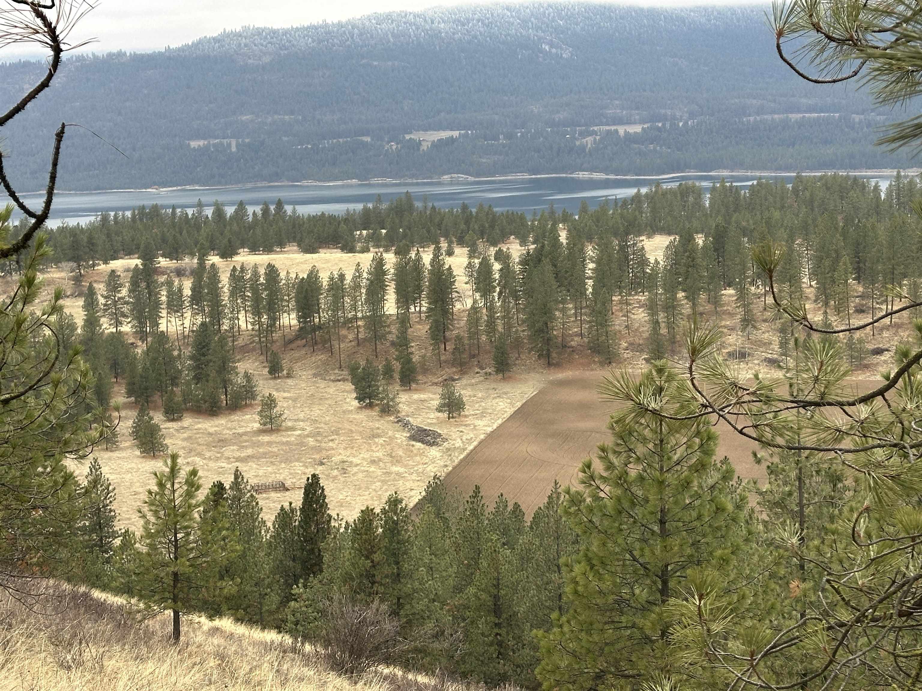 3250 Daisy Mine Rd - Photo 6