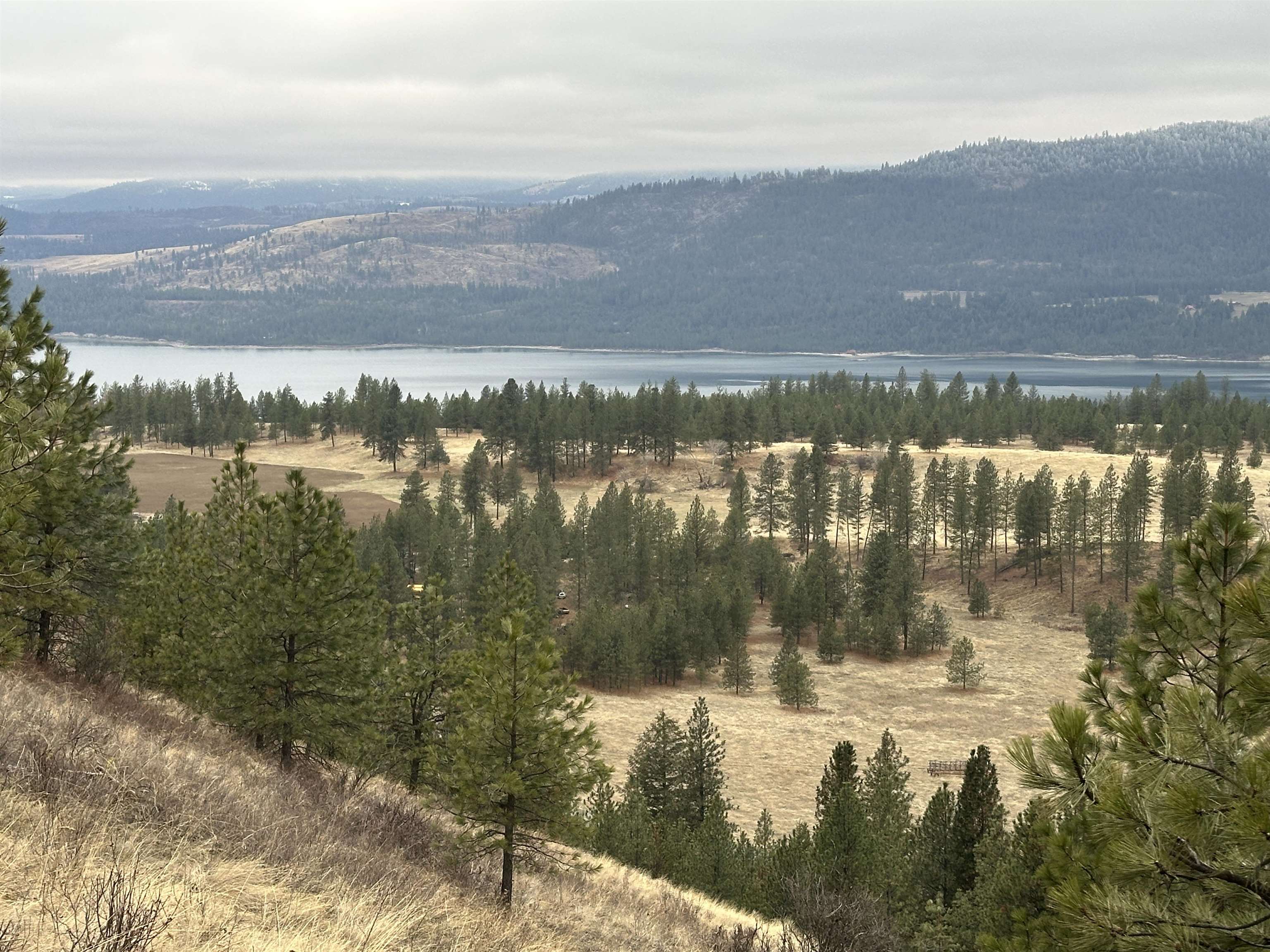 3250 Daisy Mine Rd - Photo 7