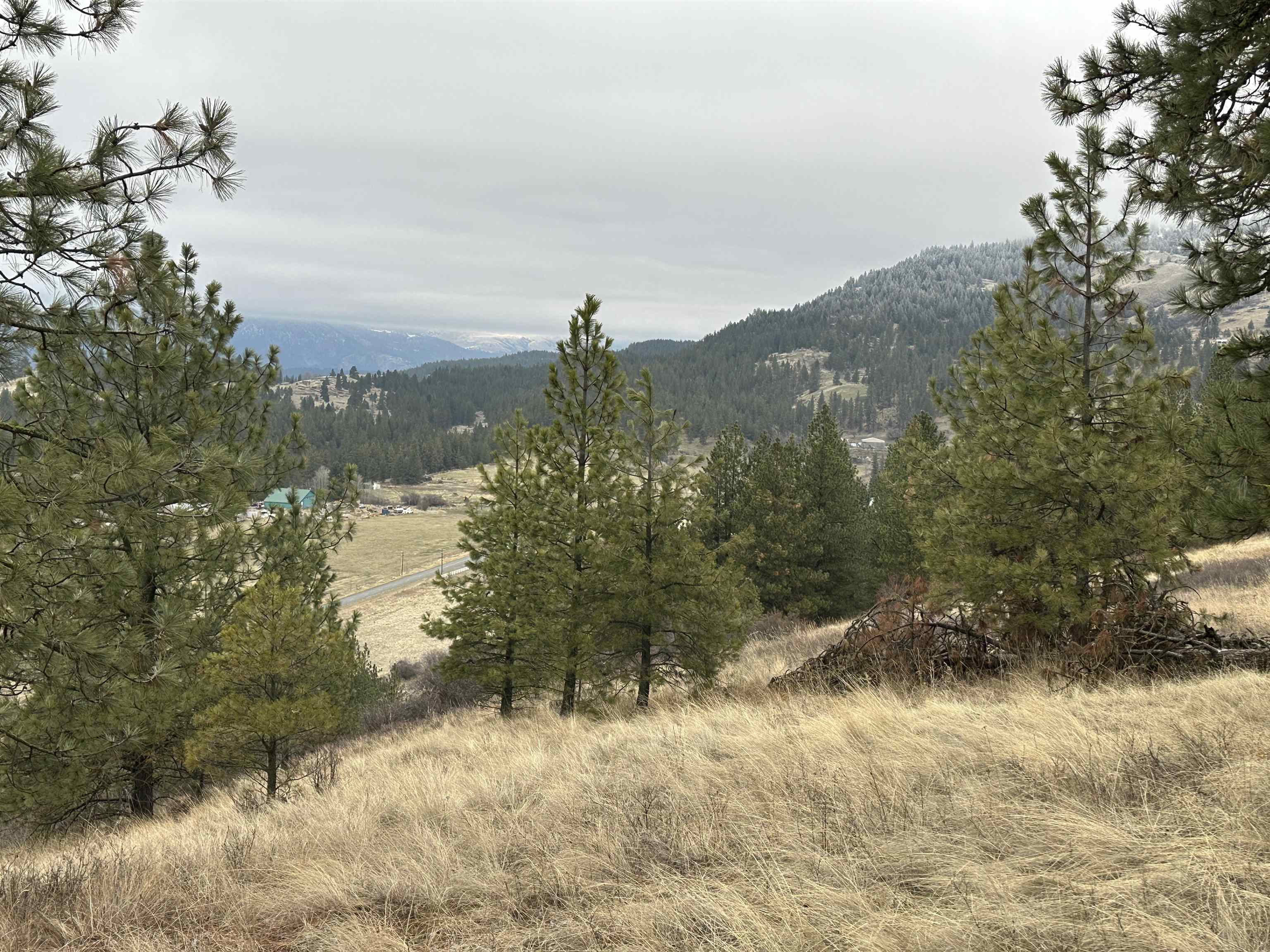 3250 Daisy Mine Rd - Photo 8