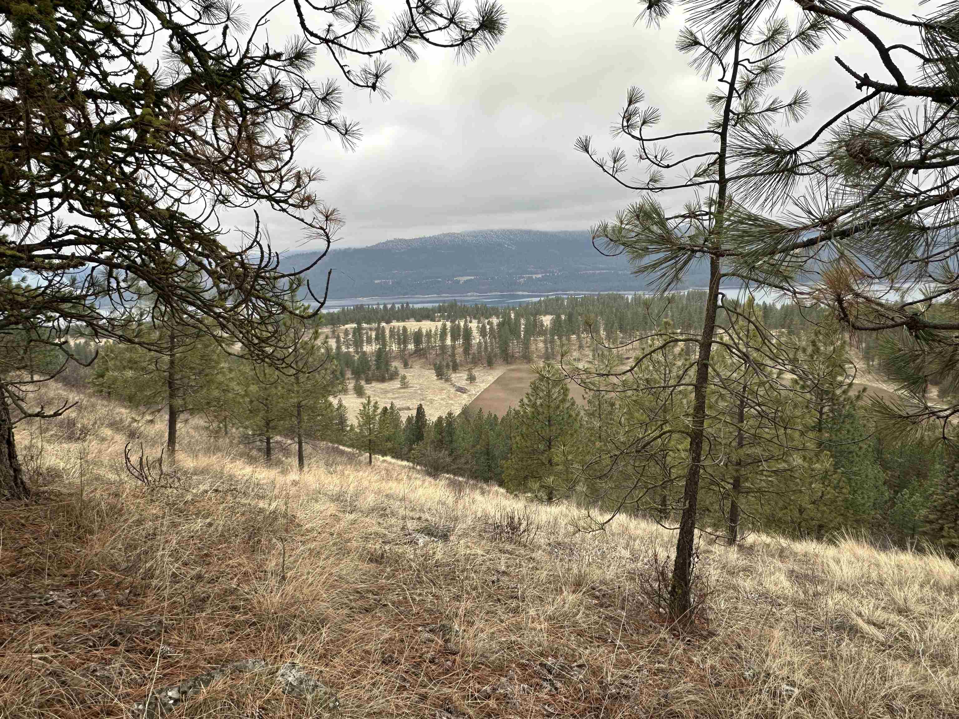 3250 Daisy Mine Rd - Photo 1