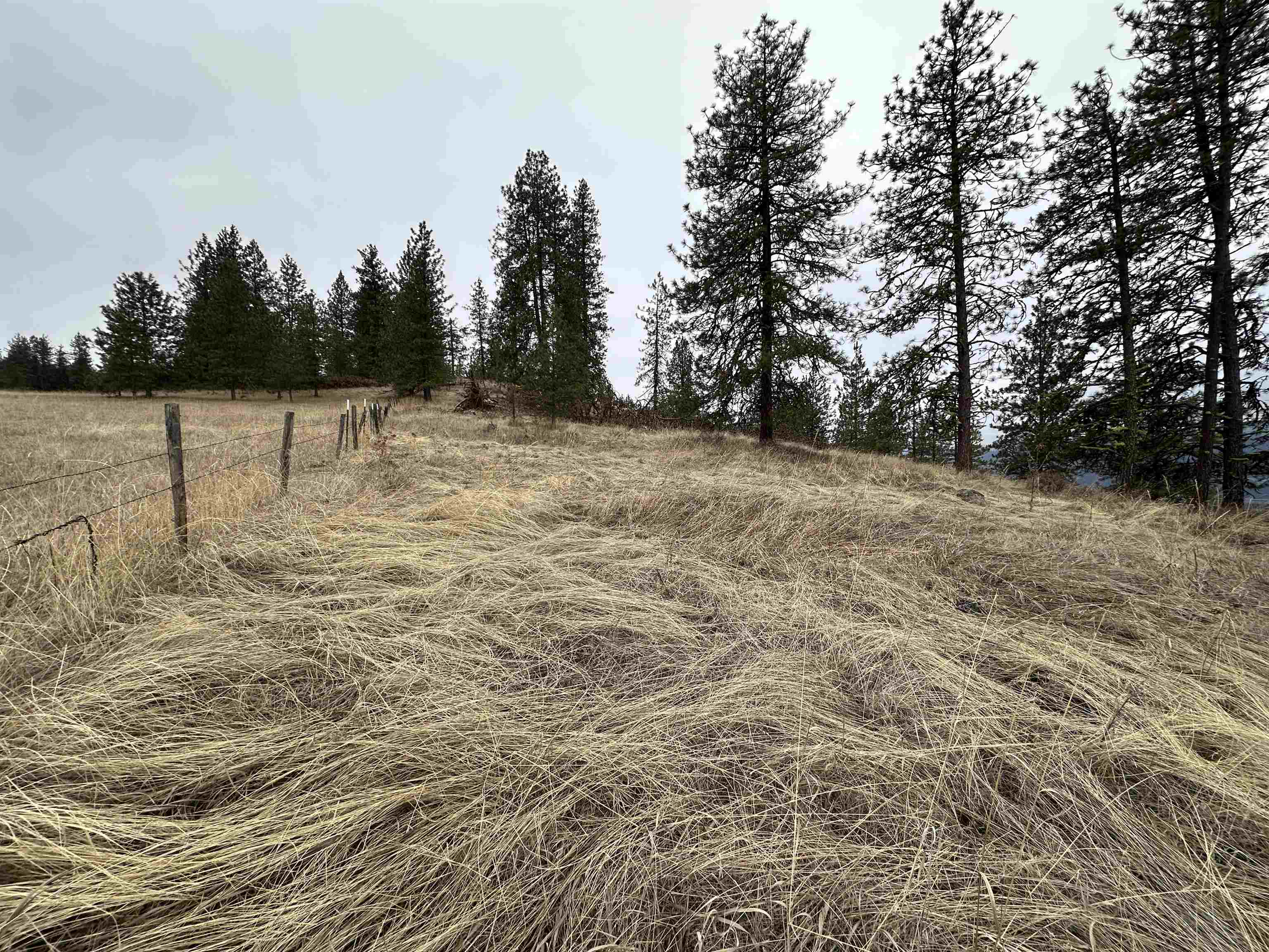 3250 Daisy Mine Rd - Photo 9