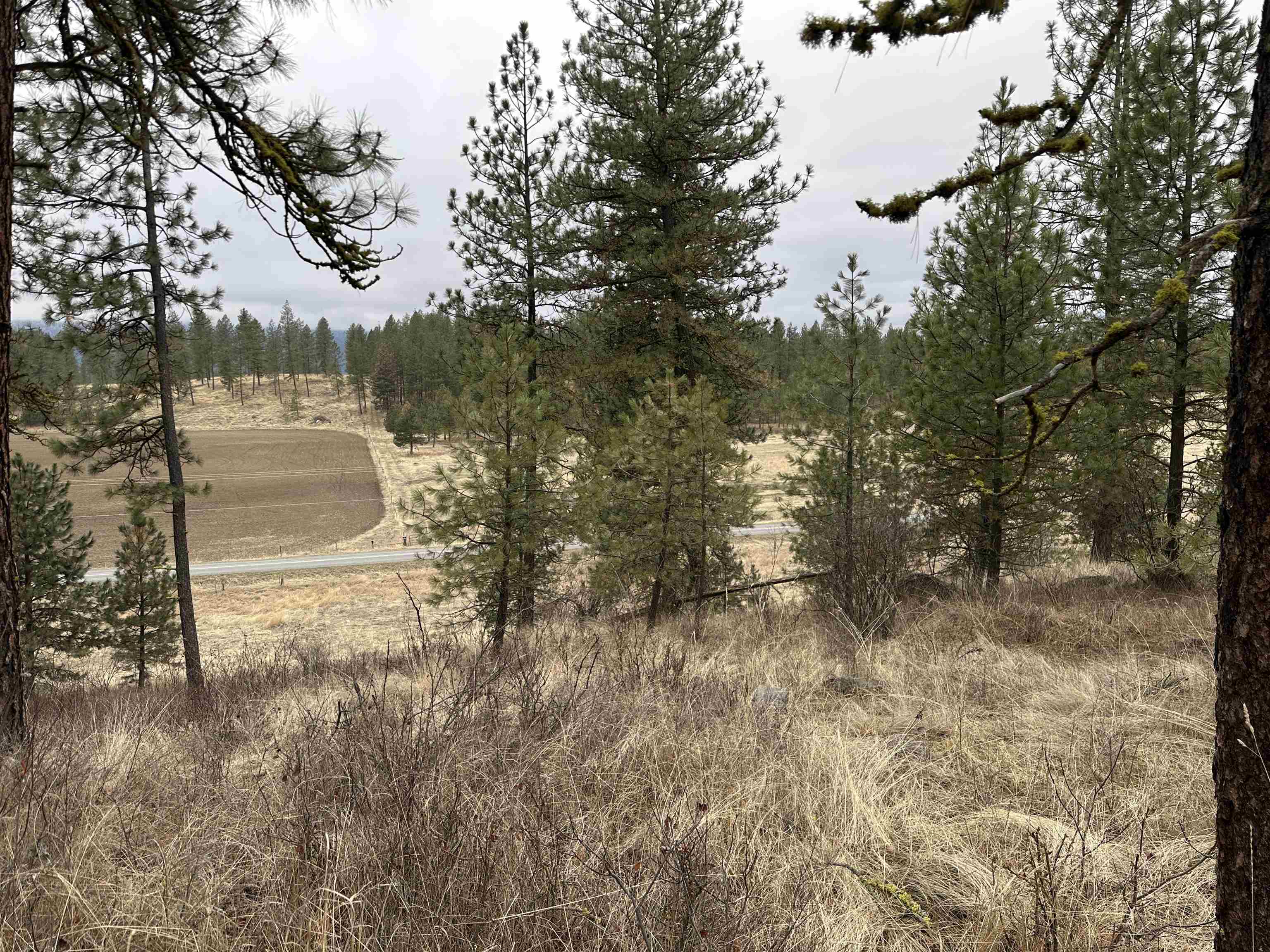 3250 Daisy Mine Rd - Photo 11