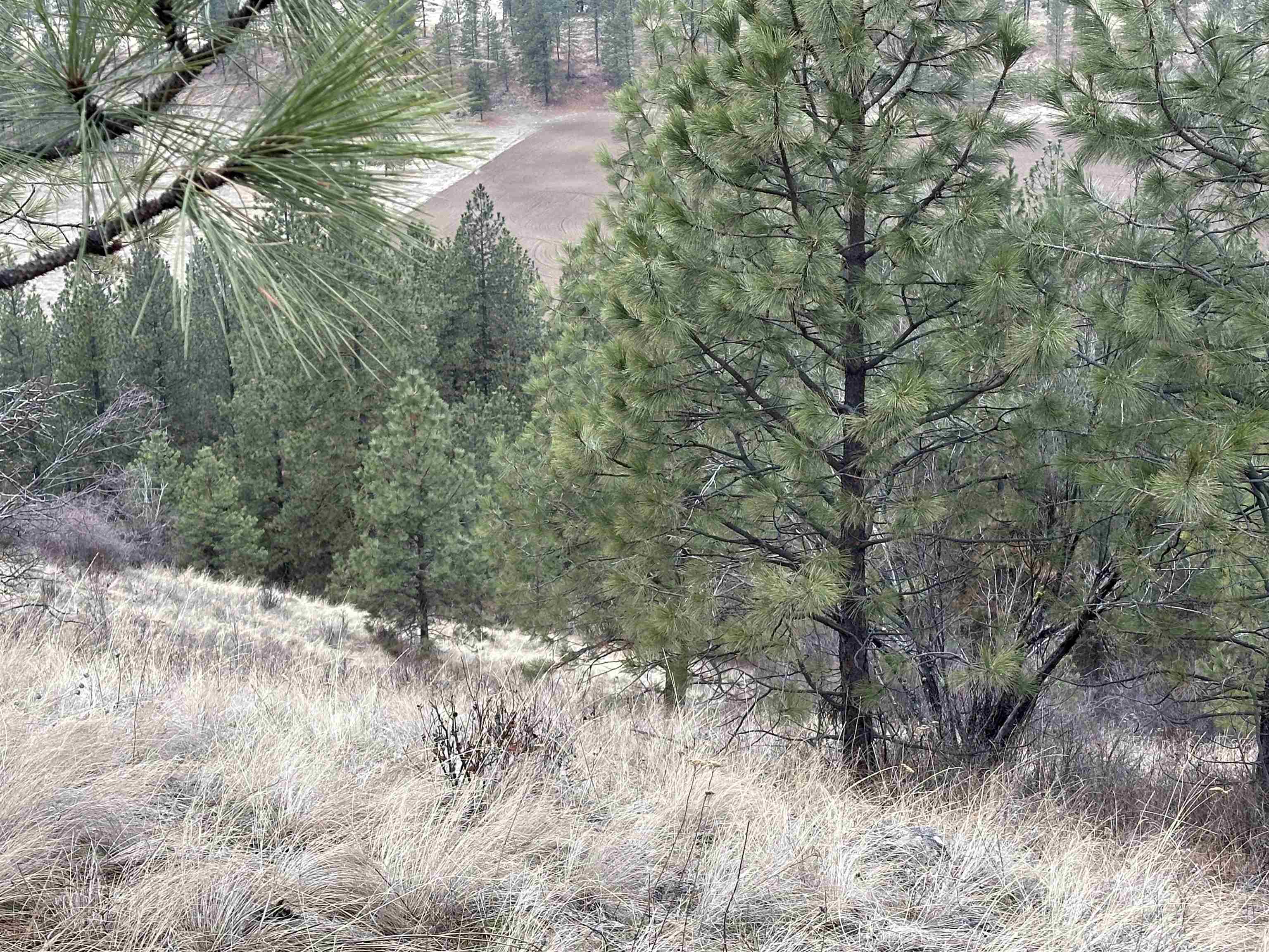3250 Daisy Mine Rd - Photo 12