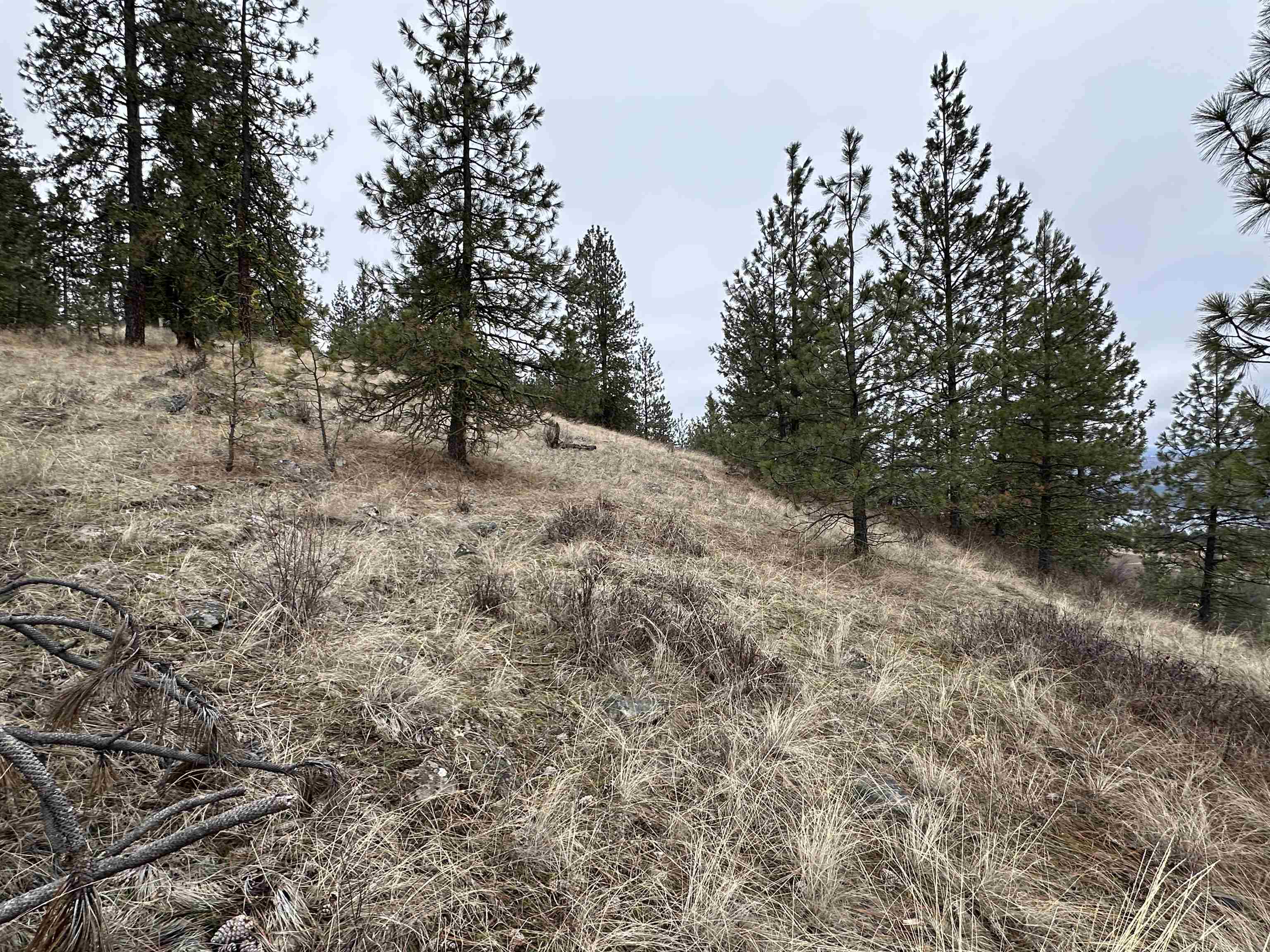 3250 Daisy Mine Rd - Photo 13