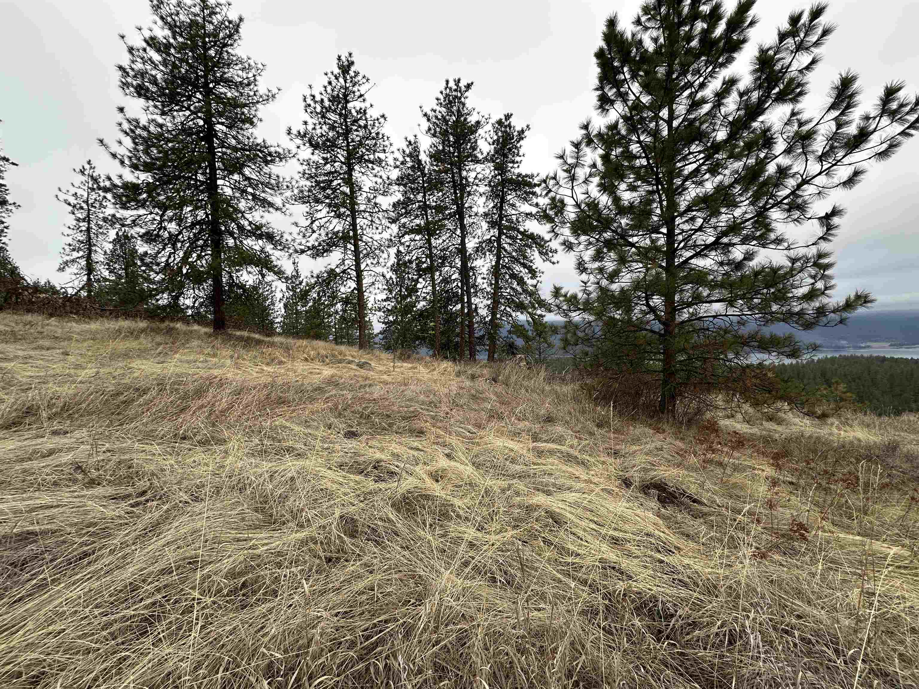 3250 Daisy Mine Rd - Photo 14