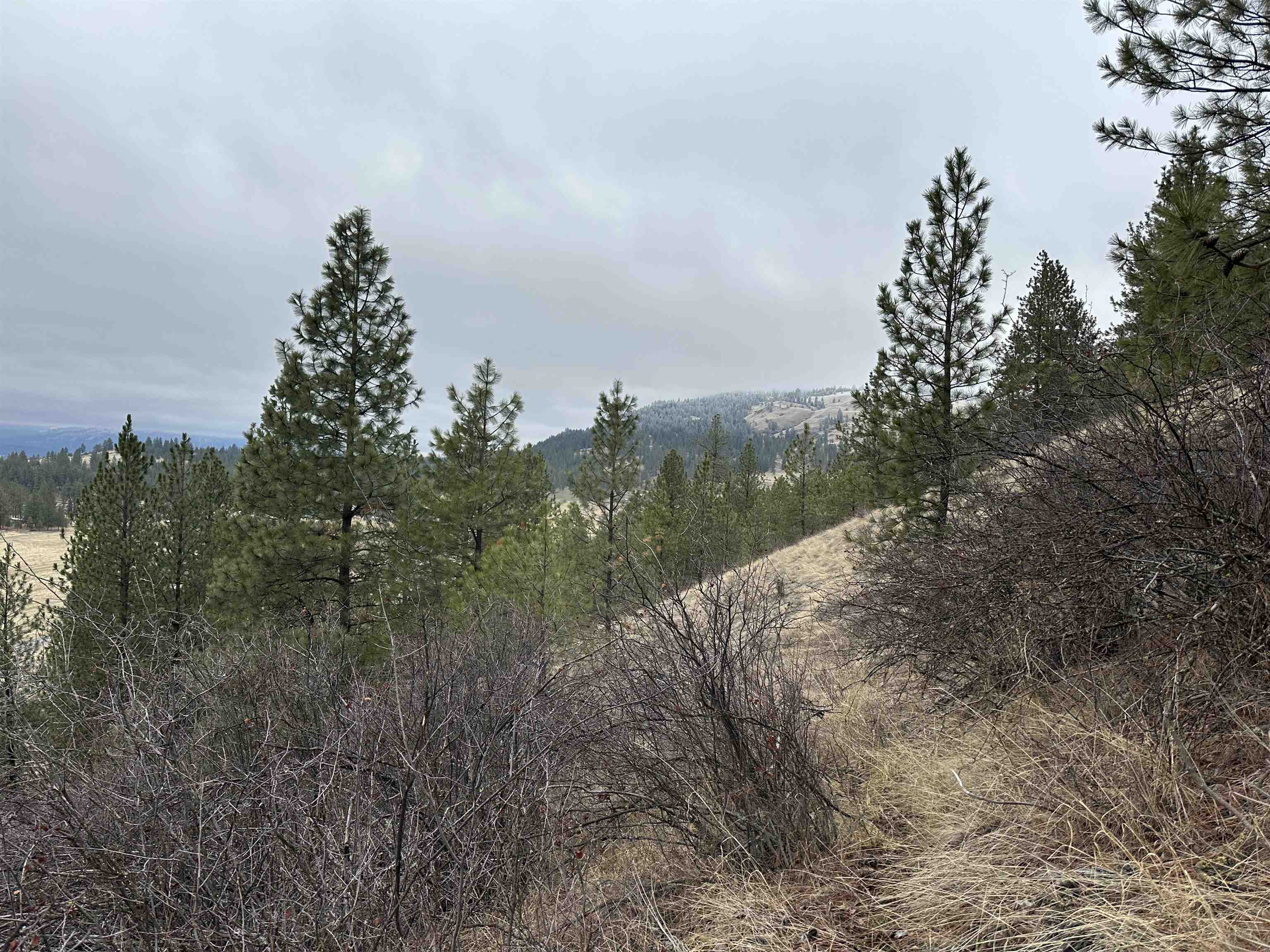 3250 Daisy Mine Rd - Photo 15