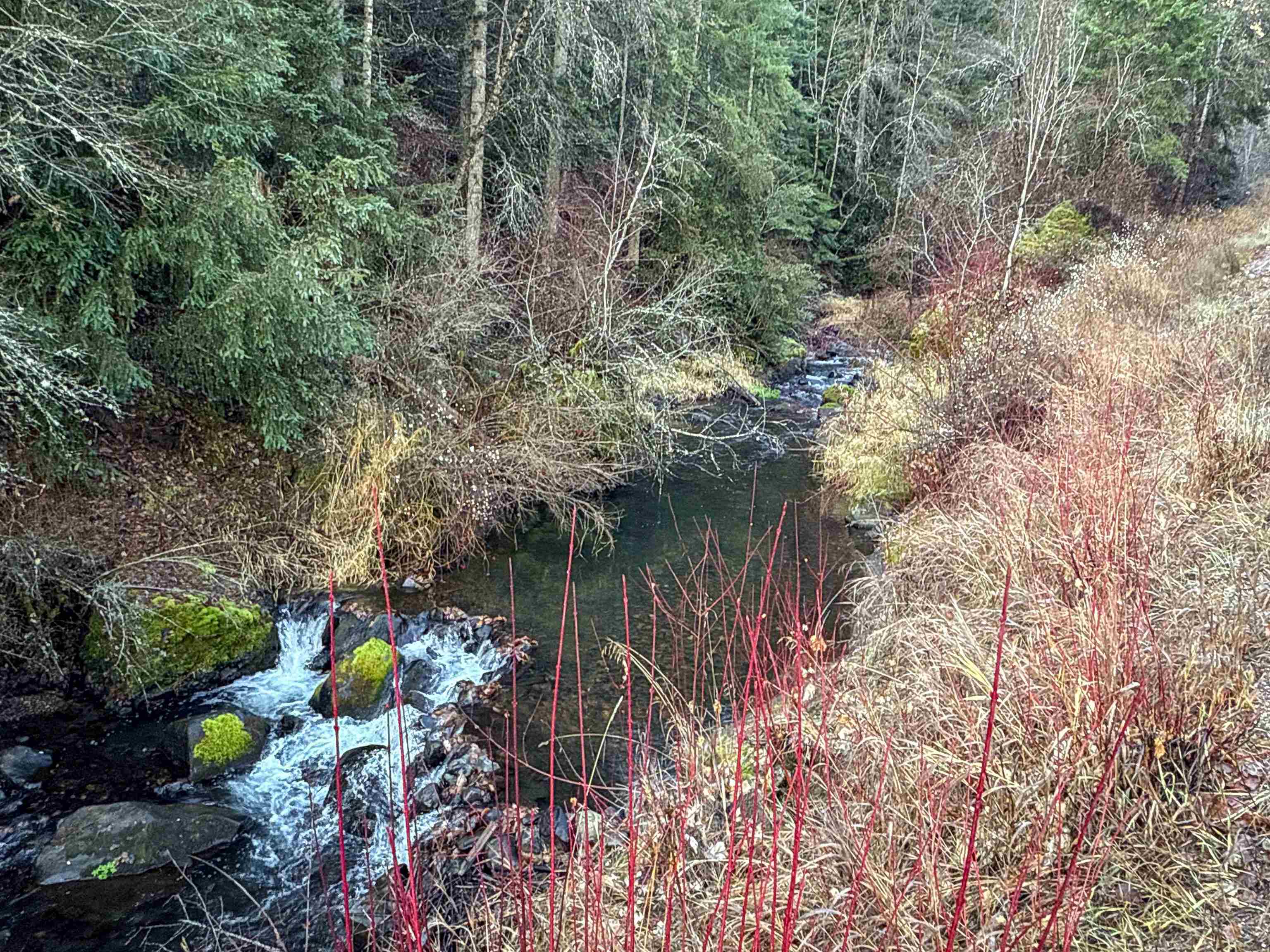 NKA Deer Creek Rd - Photo 1