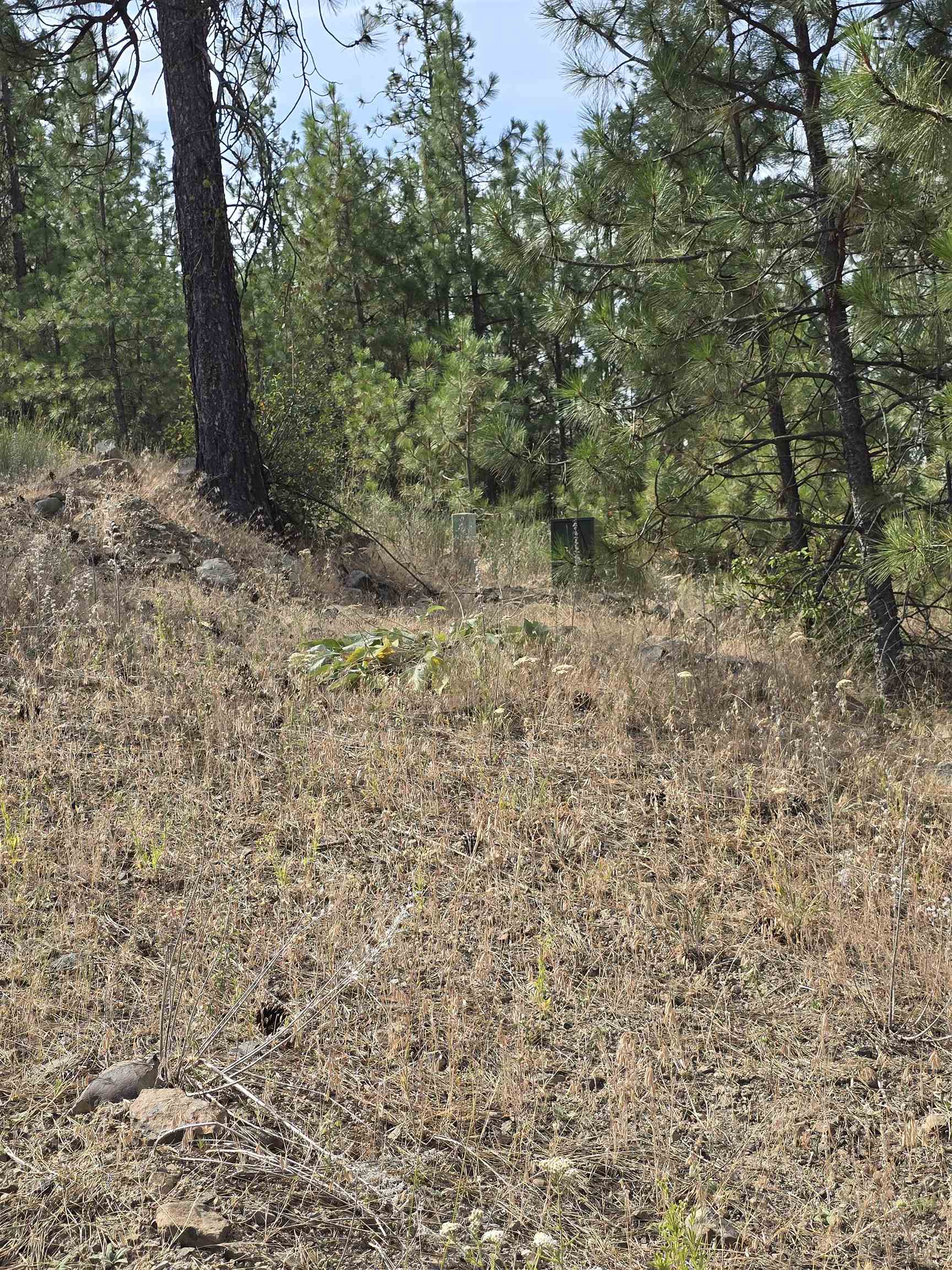 6499 Syringa Way - Photo 7