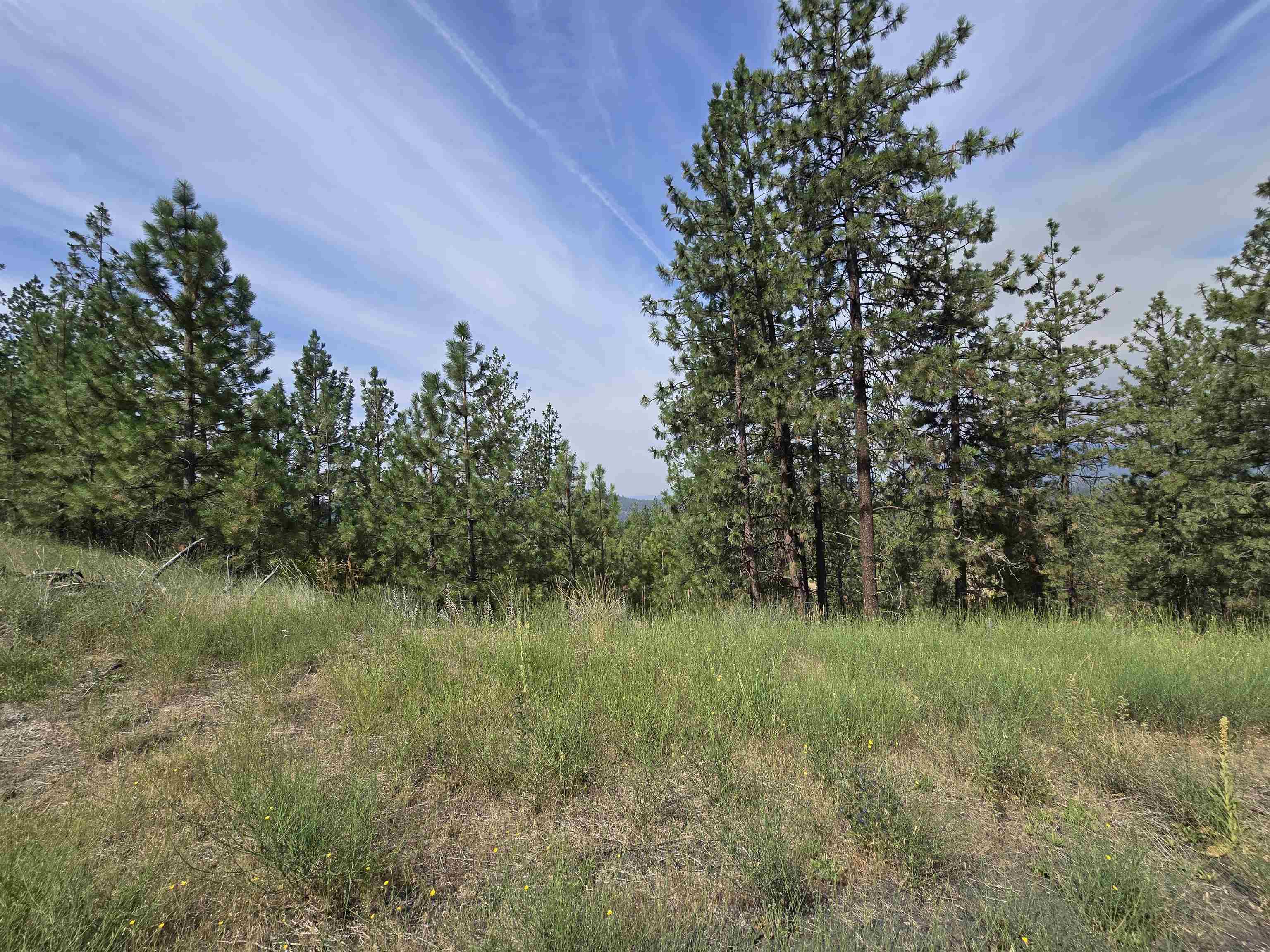 6499 Syringa Way - Photo 8