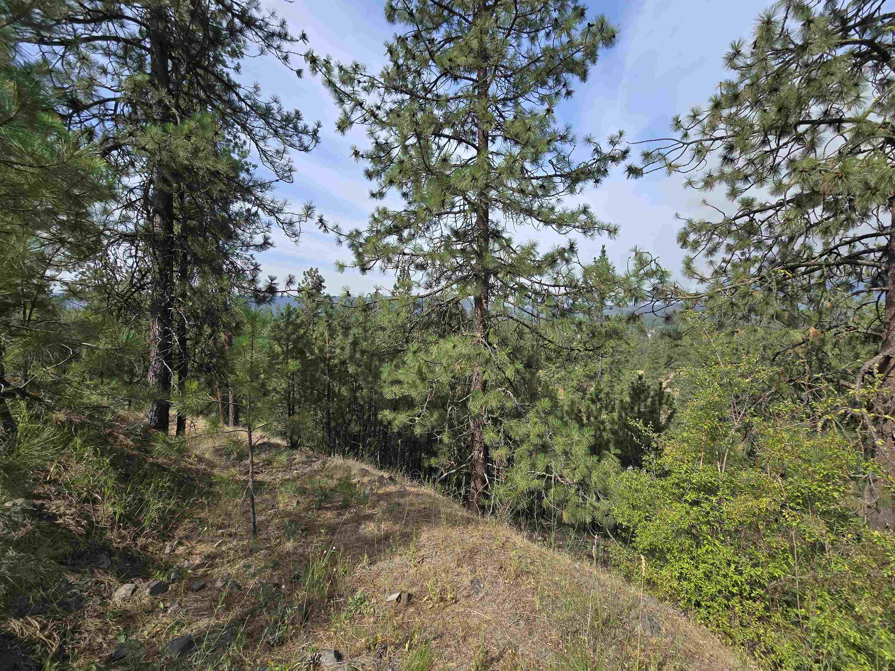 XX Syringa Way - Photo 15