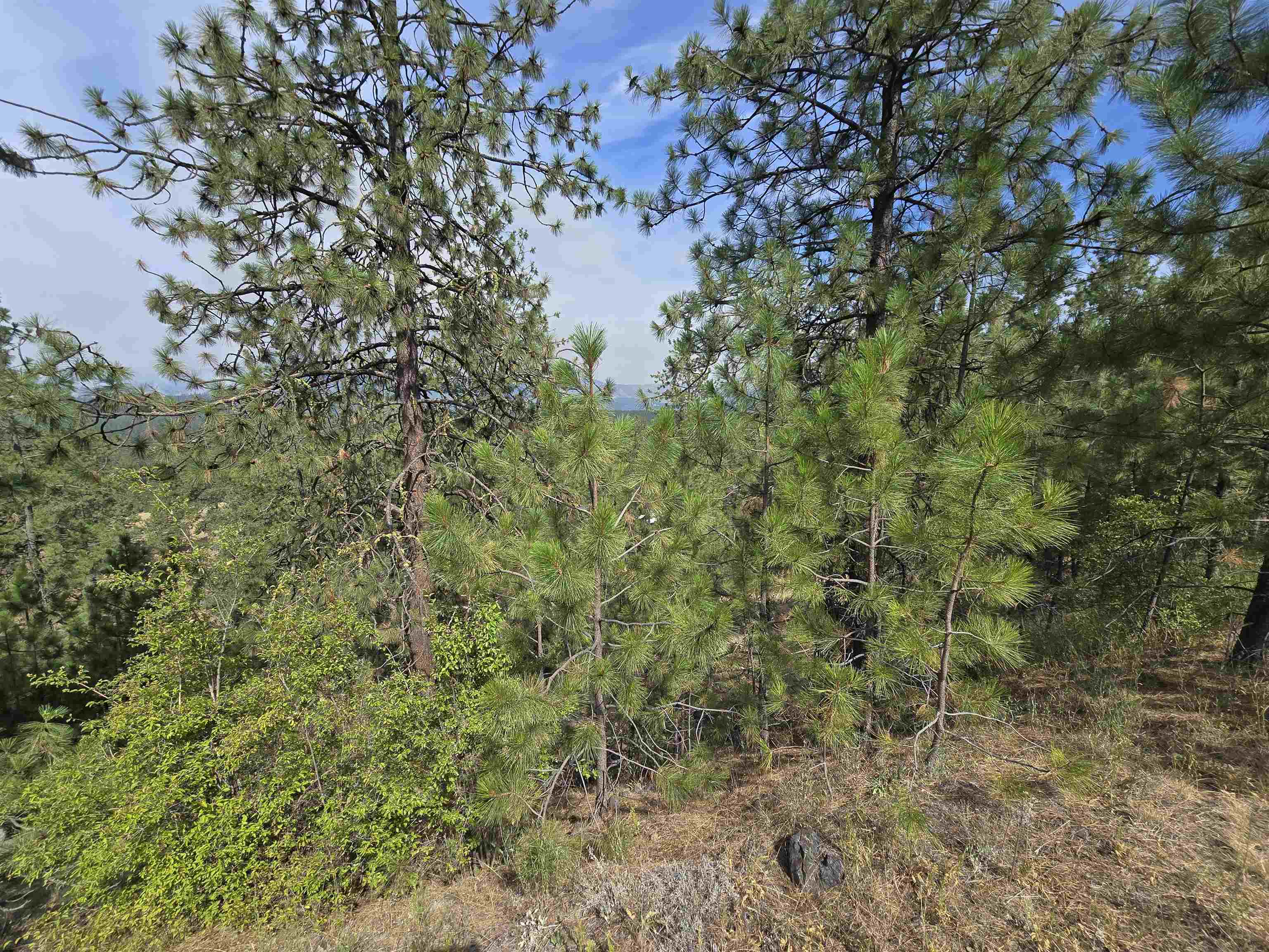 XX Syringa Way - Photo 16