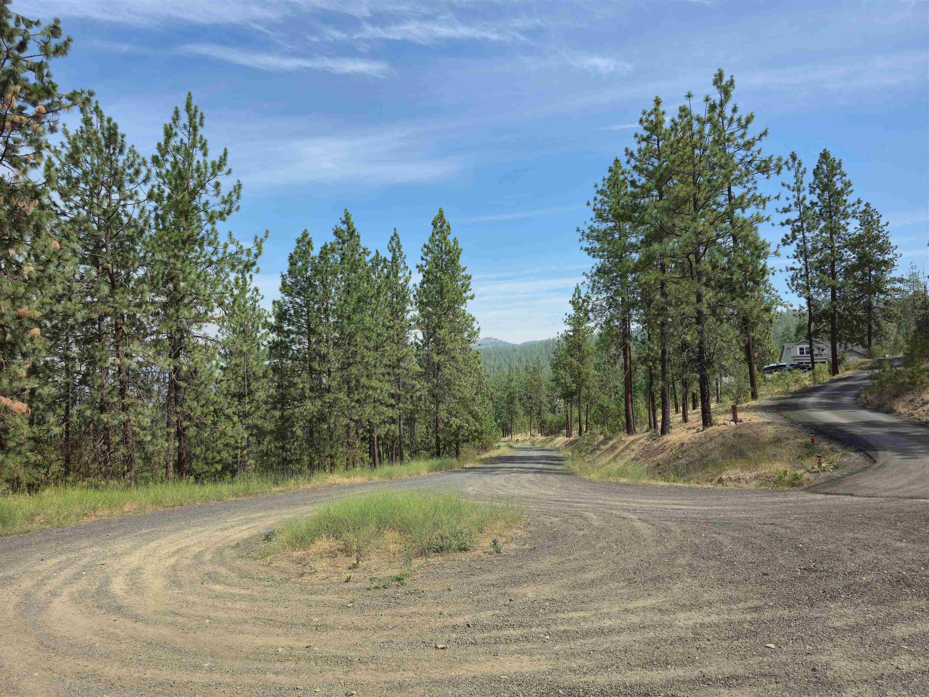 XX Syringa Way - Photo 22
