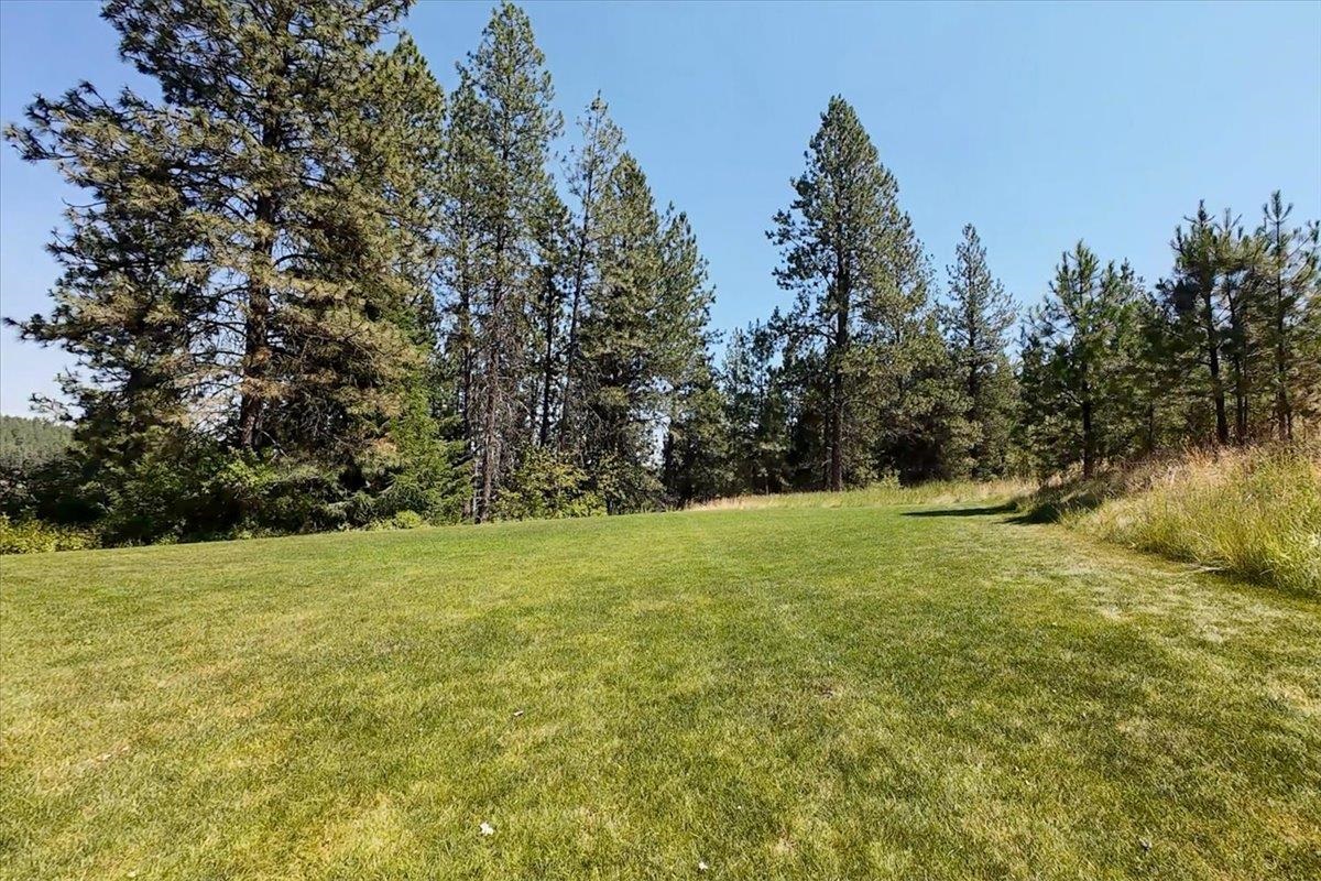 13417 S Bluegrouse Ln - Photo 50