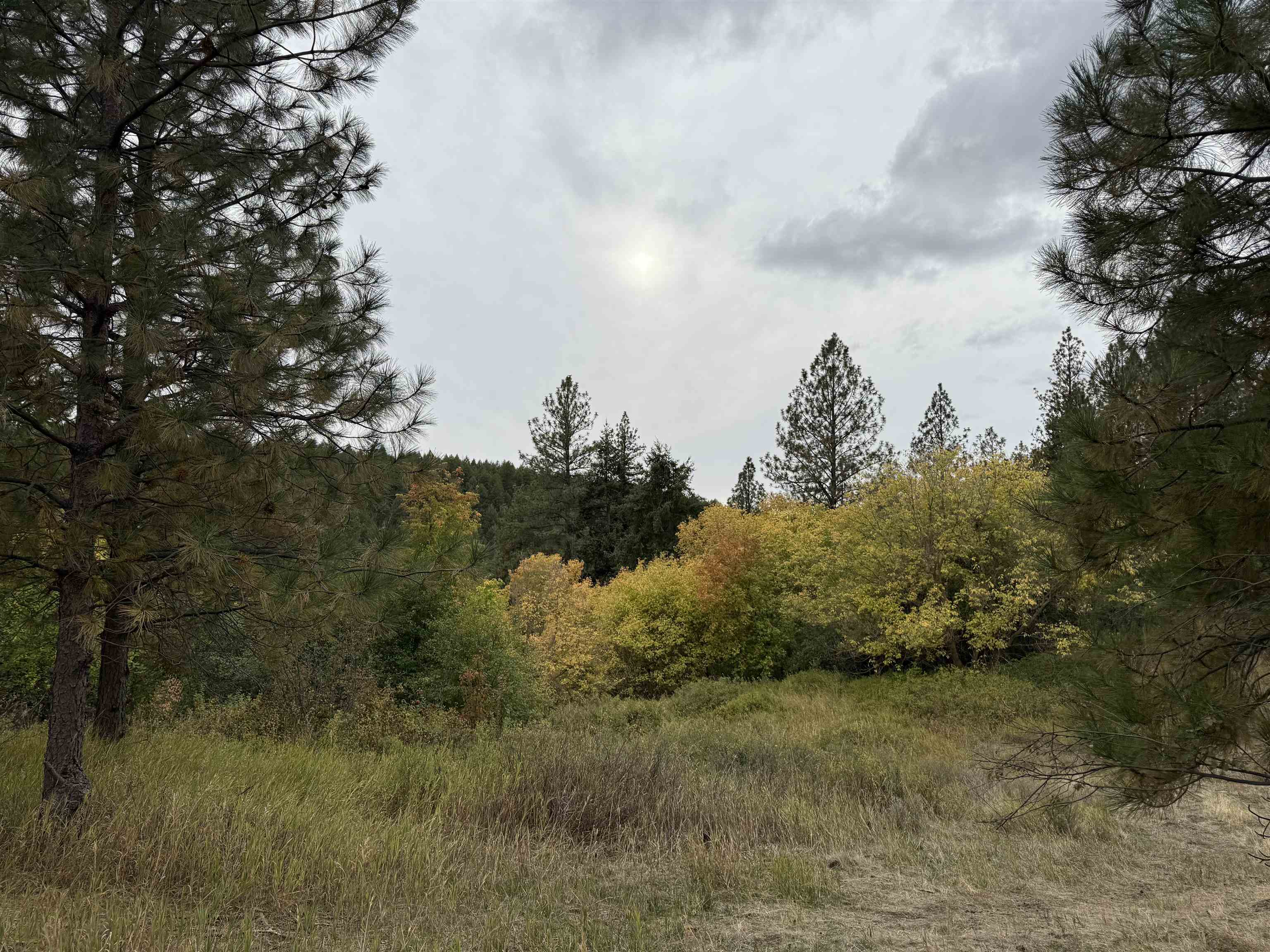 15211 N Wood Rd - Photo 38