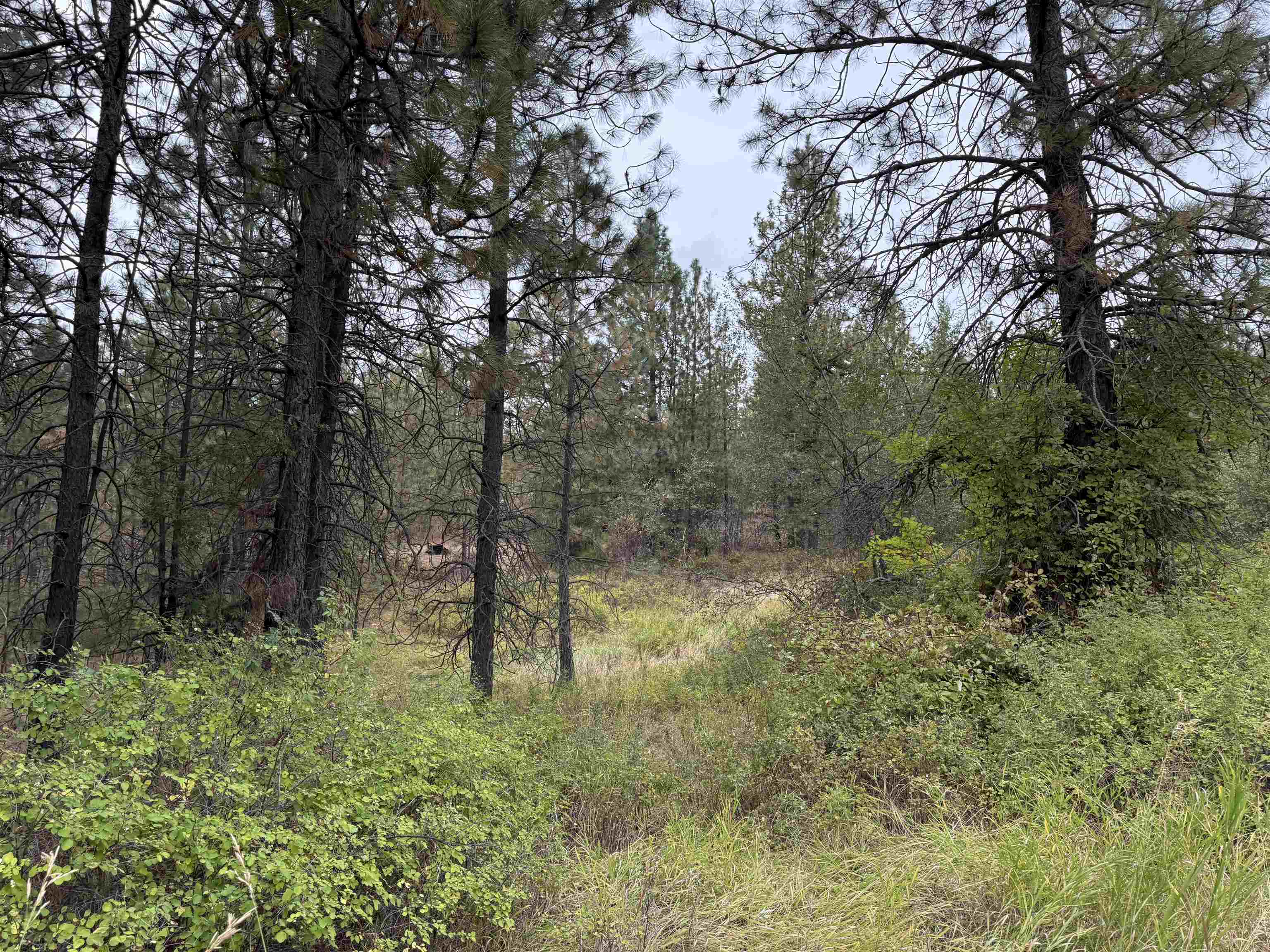 15211 N Wood Rd - Photo 14