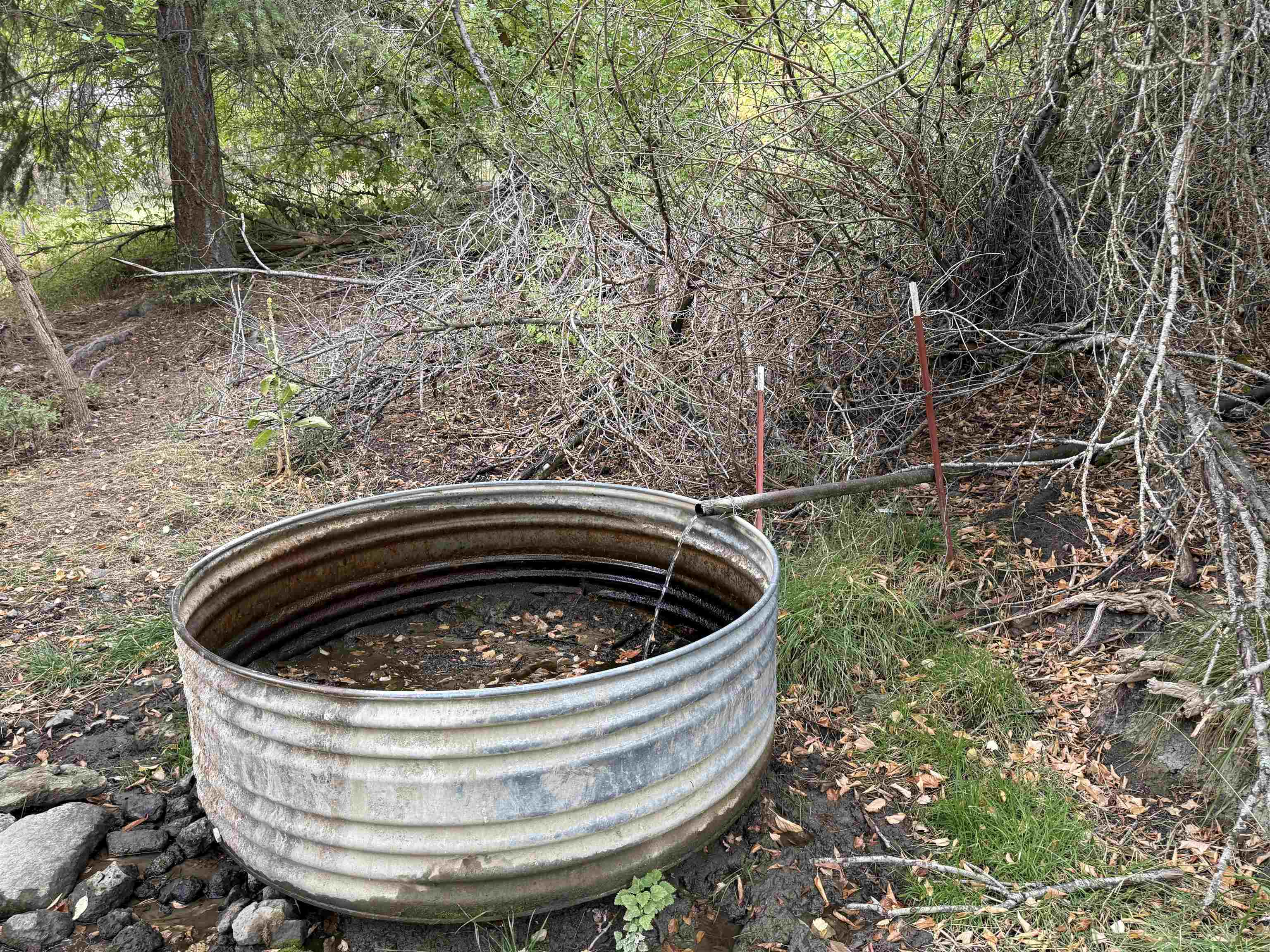 15211 N Wood Rd - Photo 13