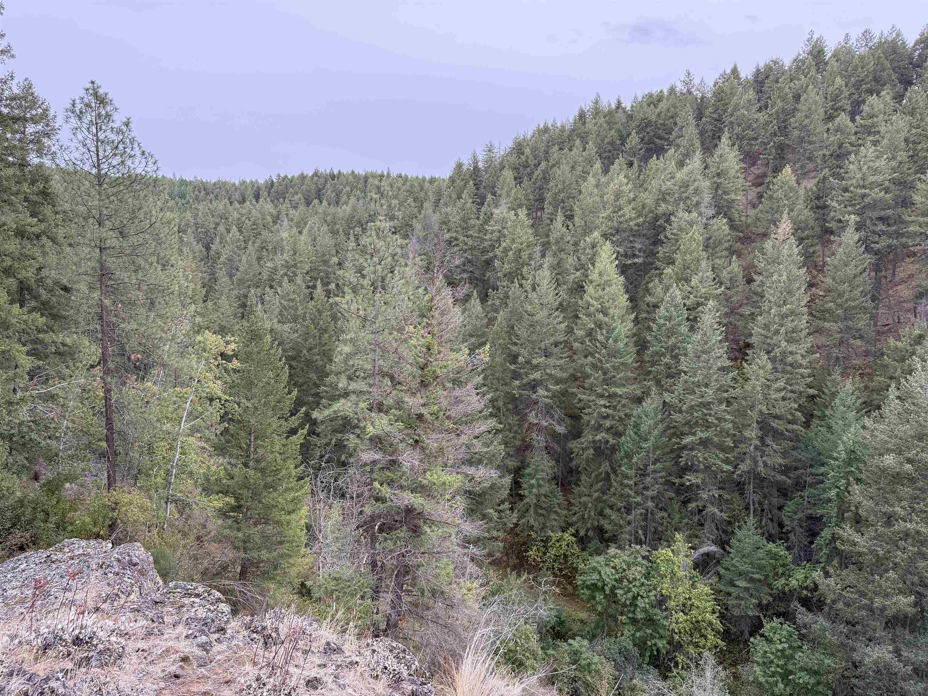 15211 N Wood Rd - Photo 40
