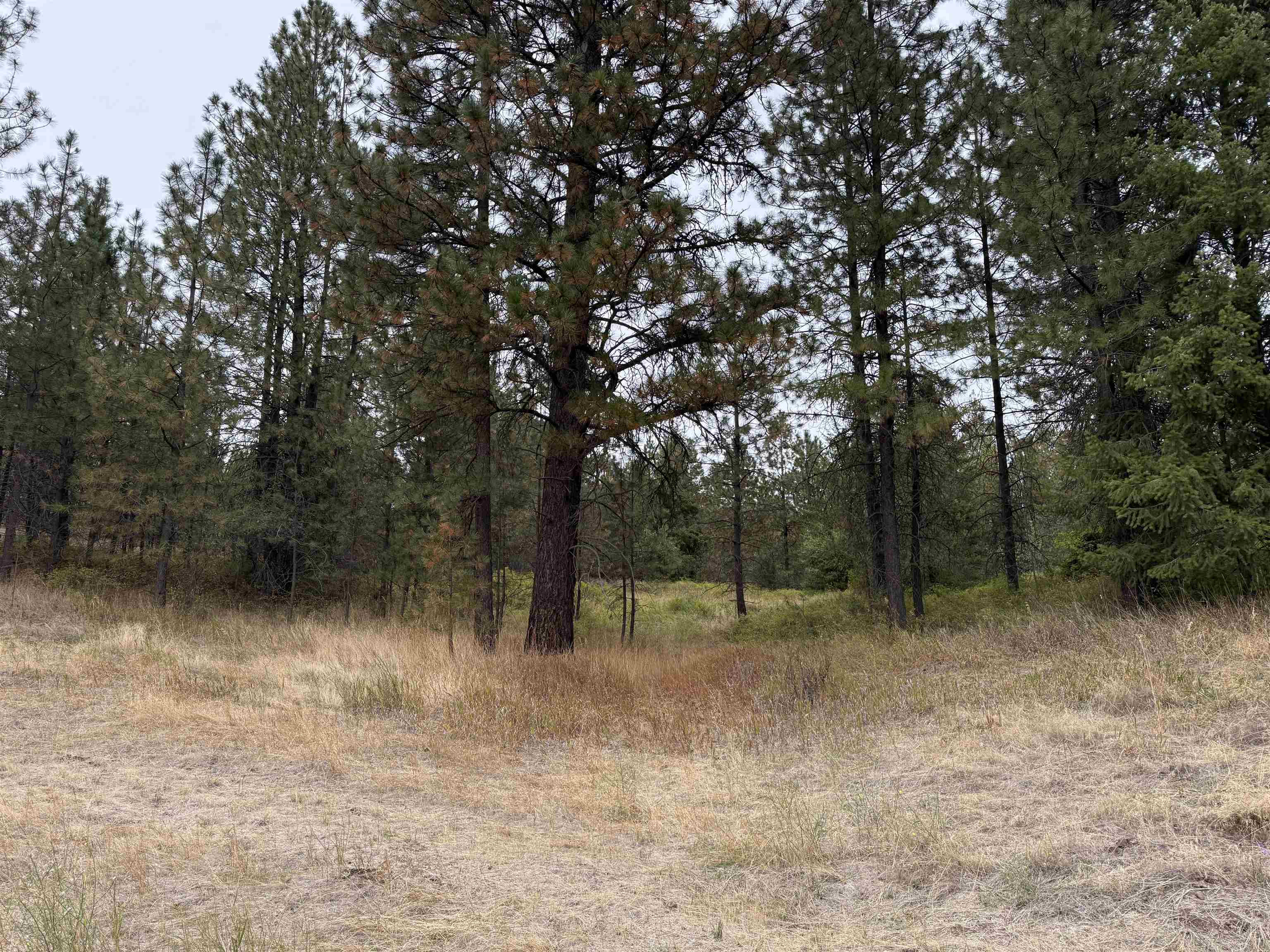 15211 N Wood Rd - Photo 39