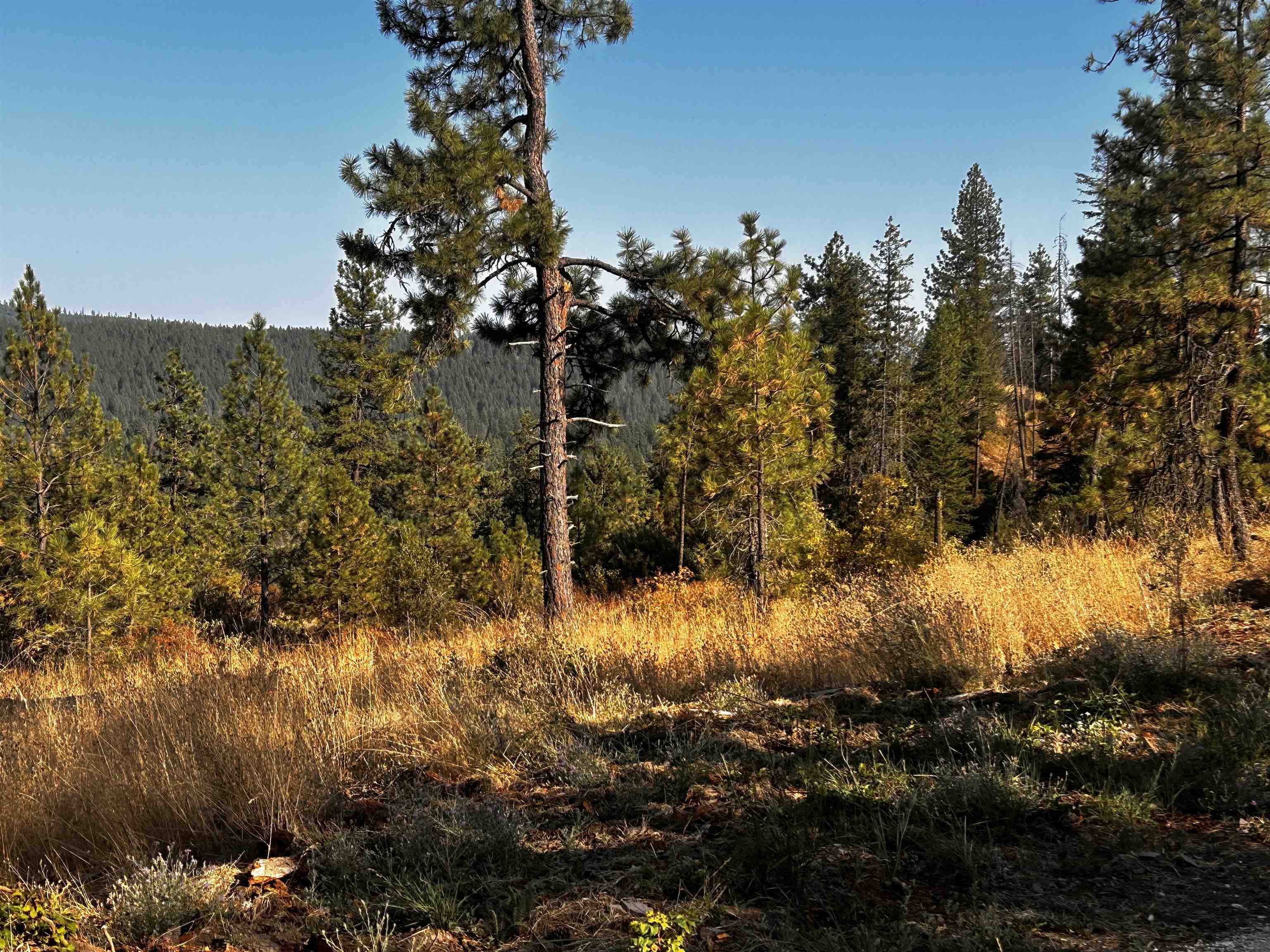 4330192100 Horseshoe Lake Rd - Photo 15