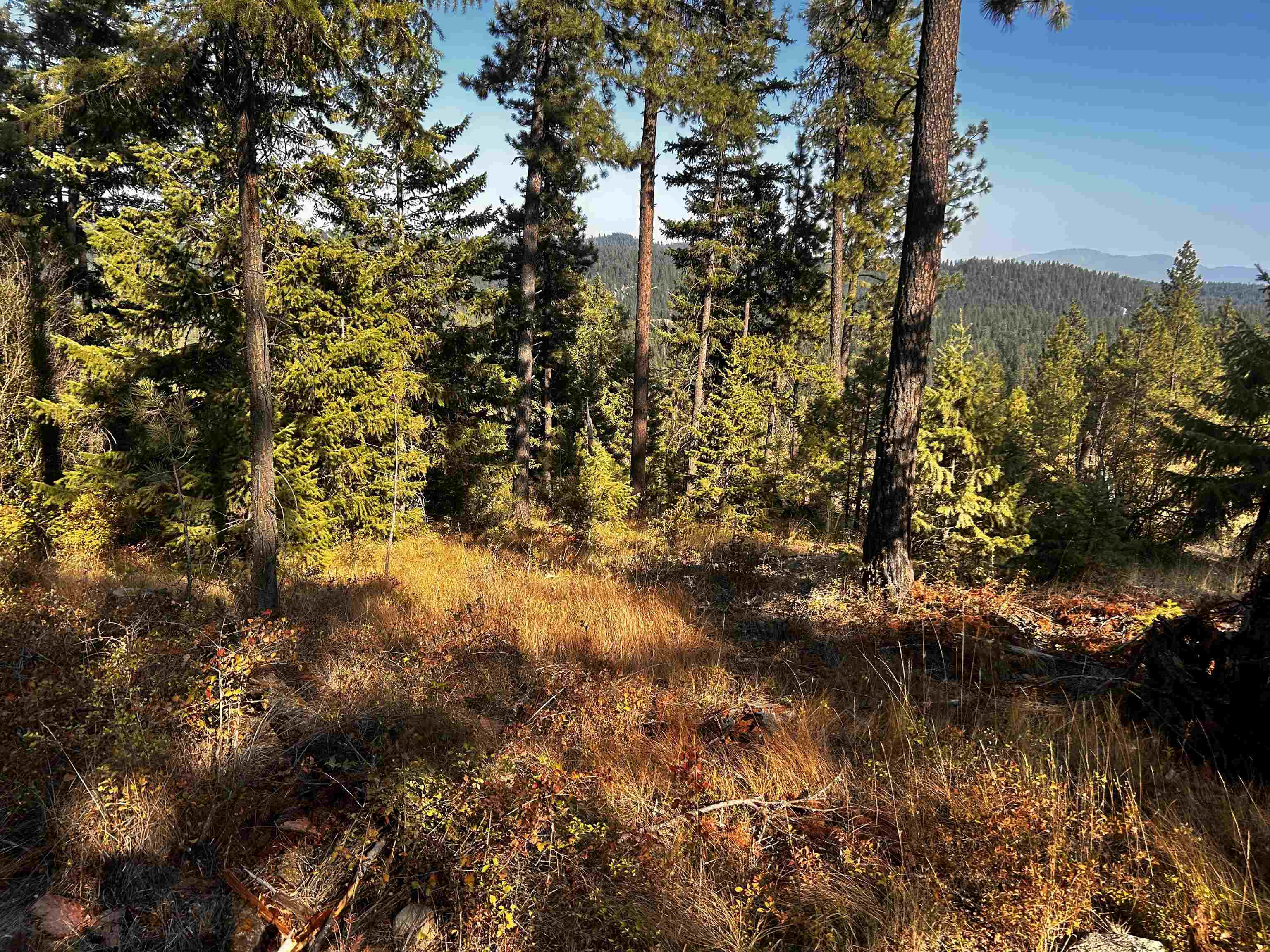 4330192100 Horseshoe Lake Rd - Photo 16
