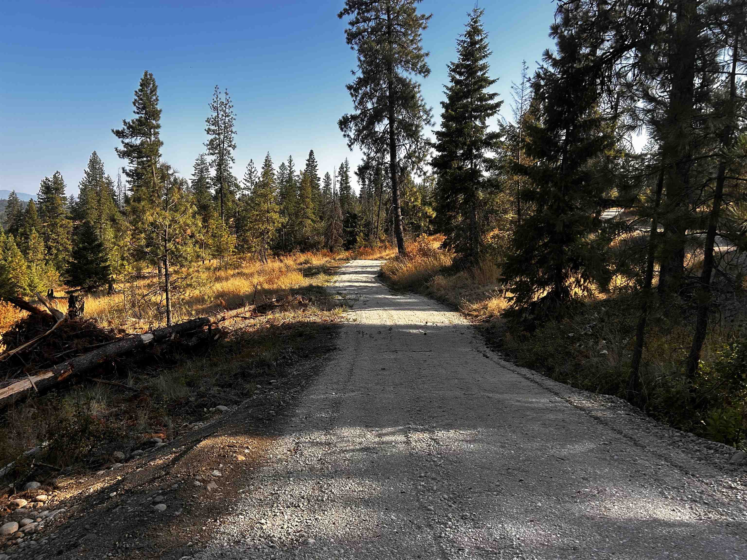 4330192100 Horseshoe Lake Rd - Photo 17