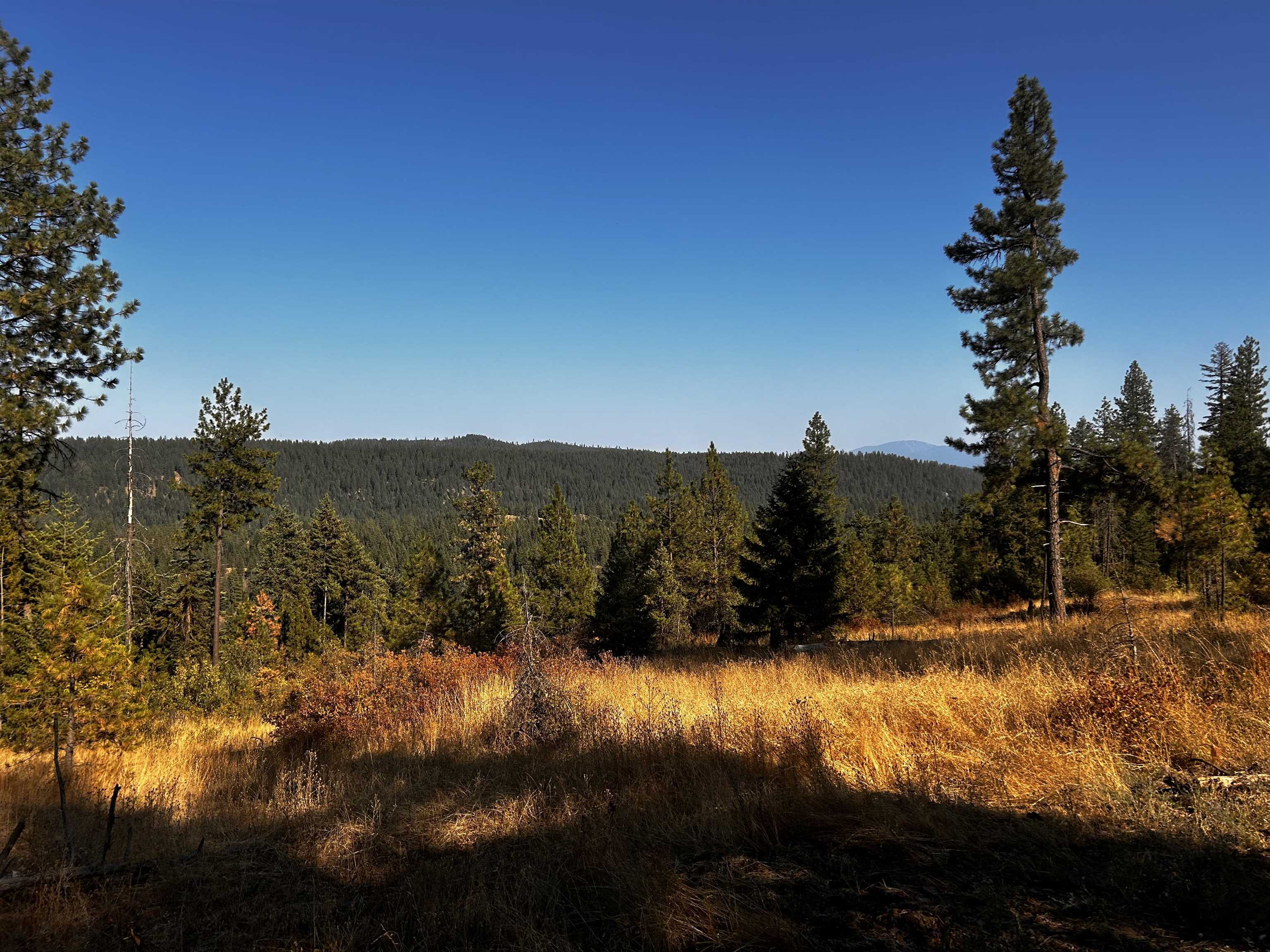 4330192100 Horseshoe Lake Rd - Photo 18