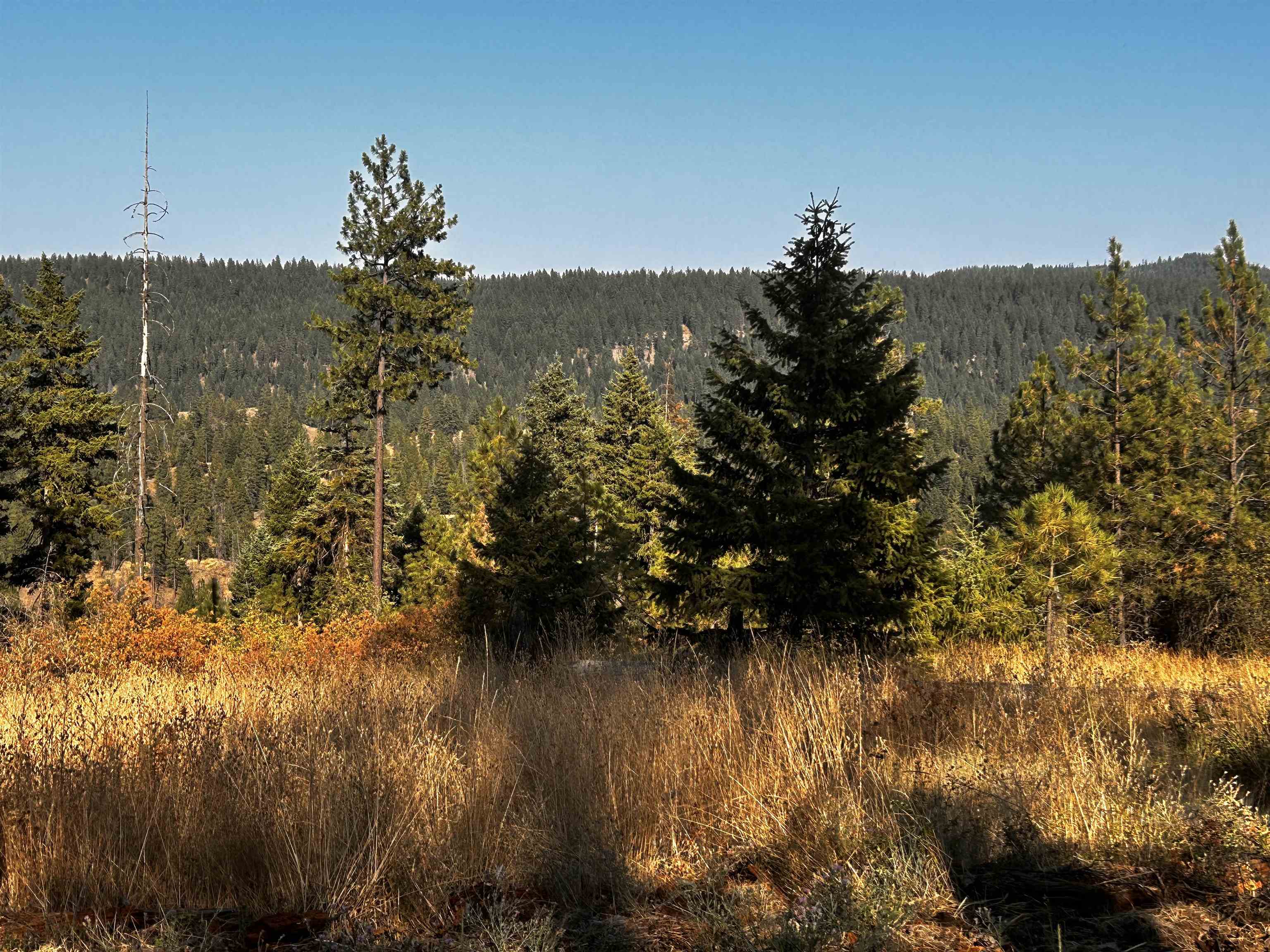 4330192100 Horseshoe Lake Rd - Photo 20
