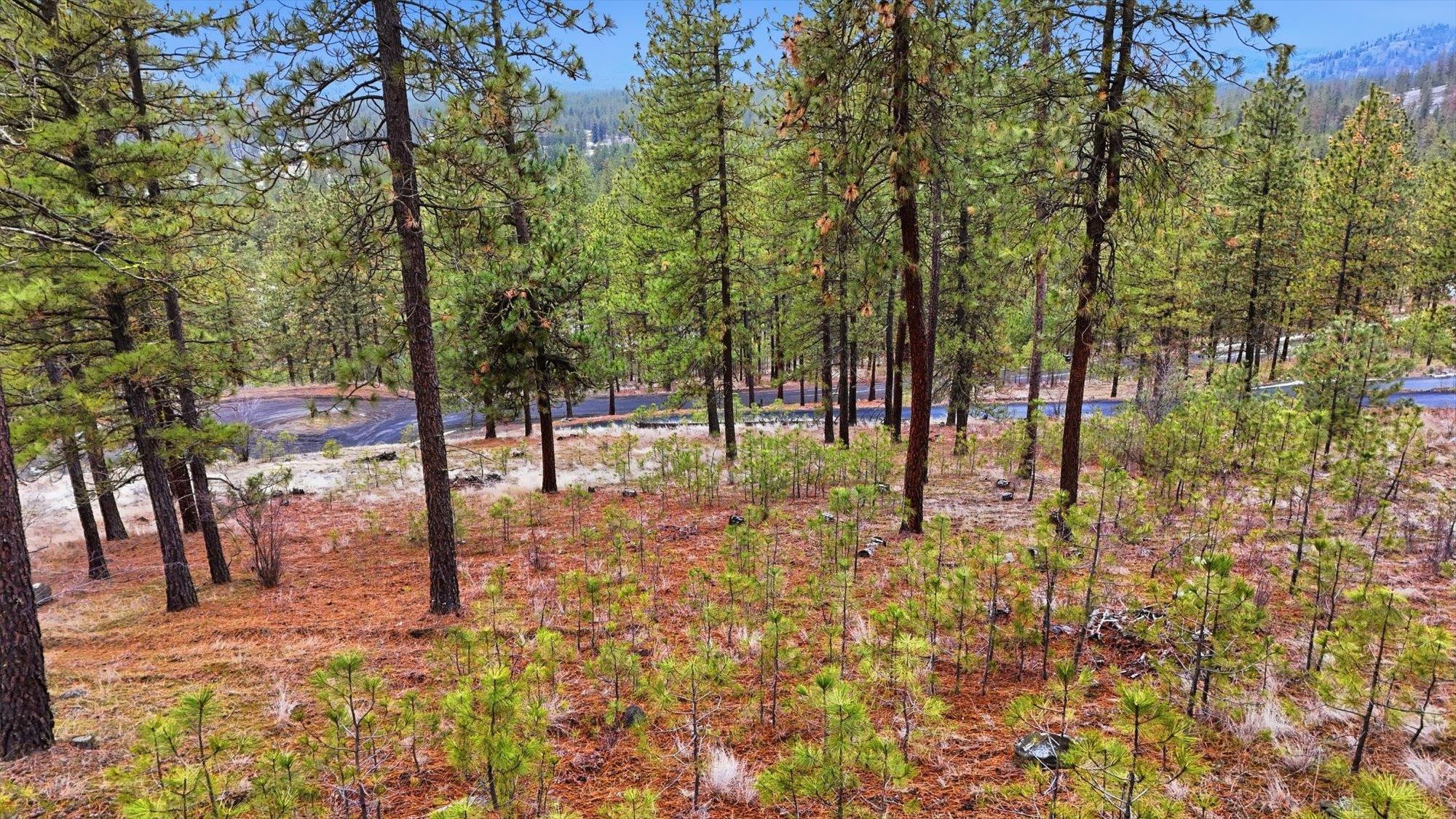 6499 Syringa Way - Photo 3