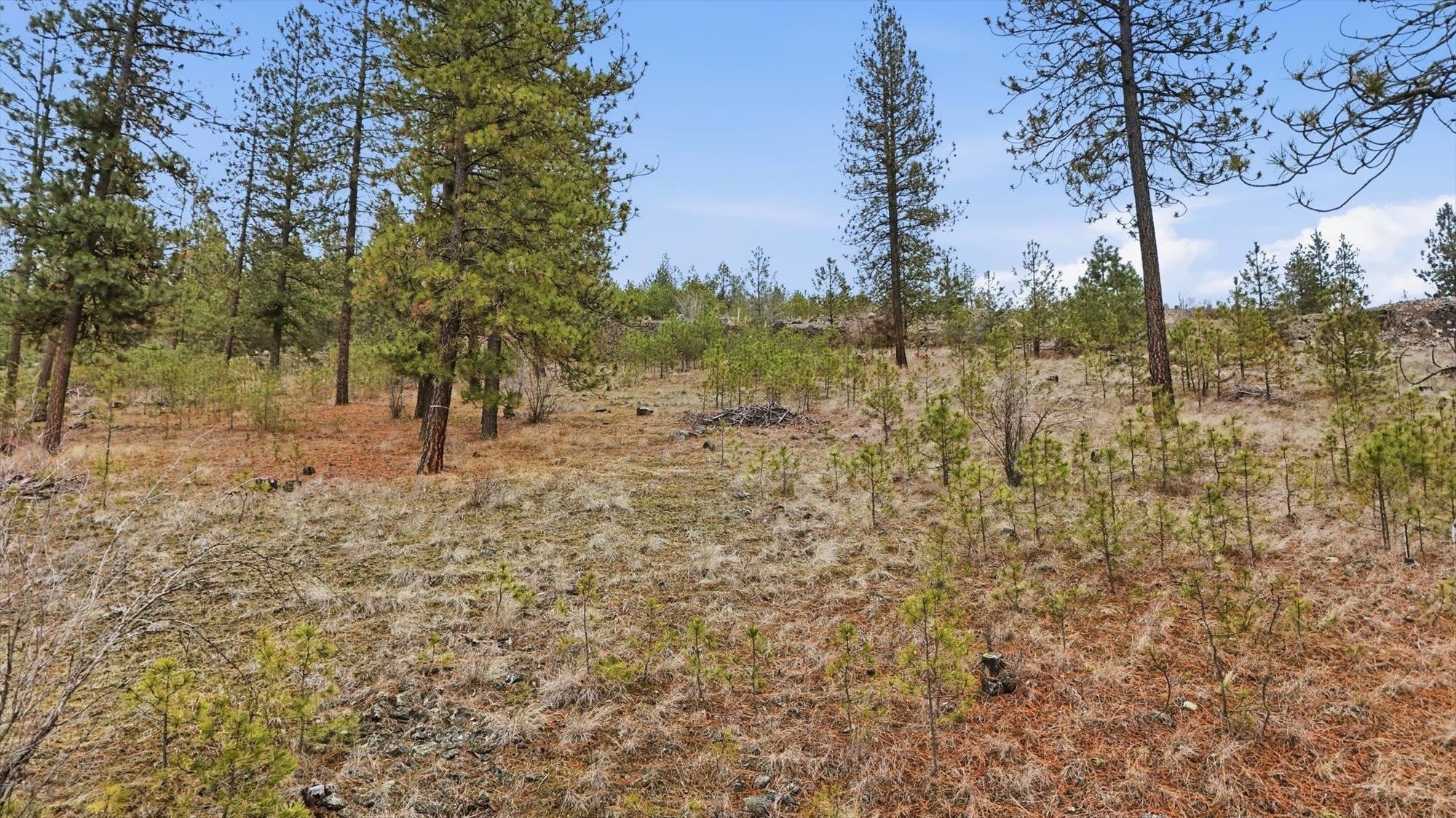 6499 Syringa Way - Photo 10