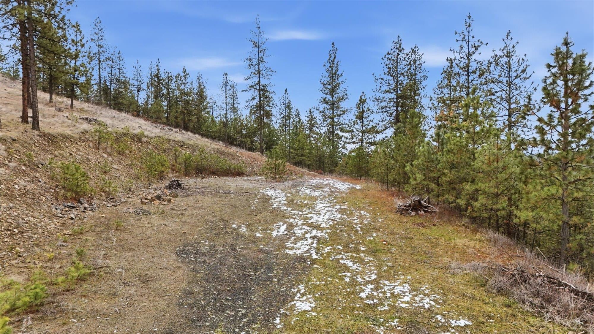 XX Syringa Way - Photo 23